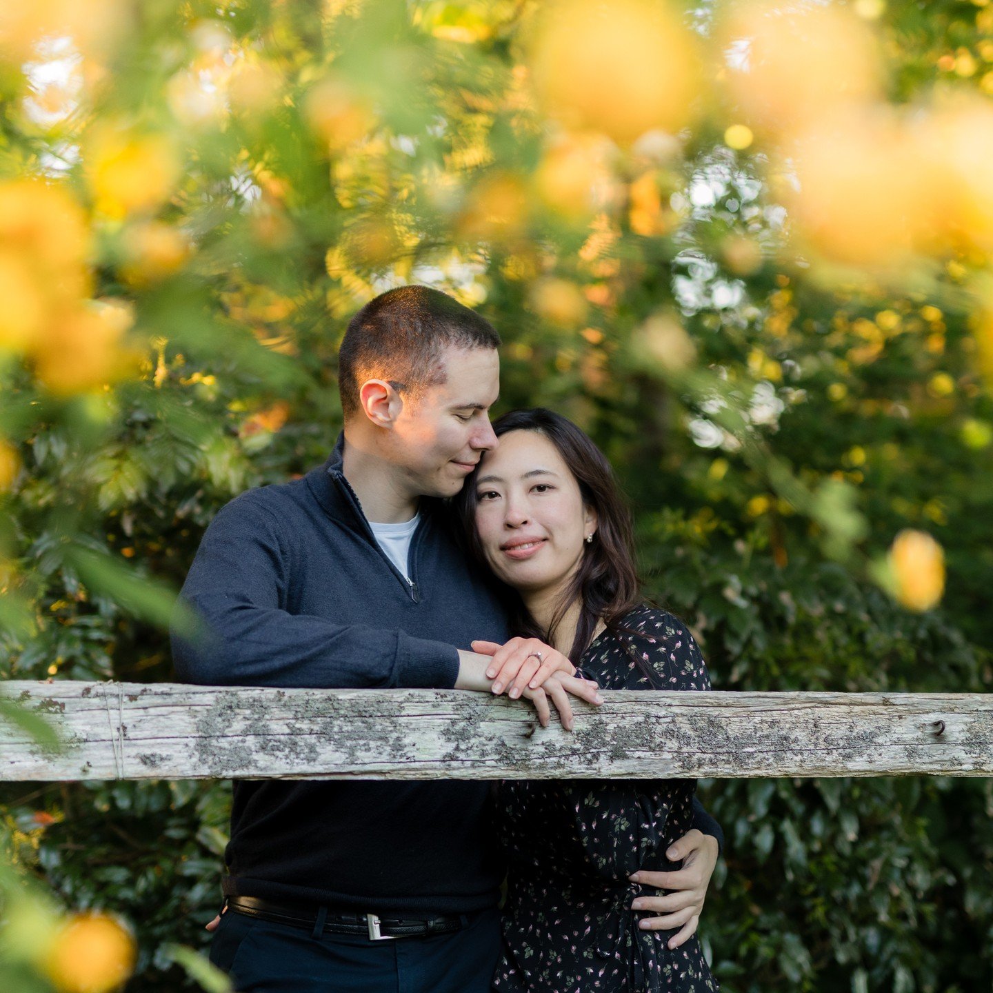 From our engagement shoot with Ben and Gianna. The yellow flowers framed them so beautifully. 

#engagement #engagementring #engagementphotos #2024bridetobe #victoriabc #vancouverislandphotographer