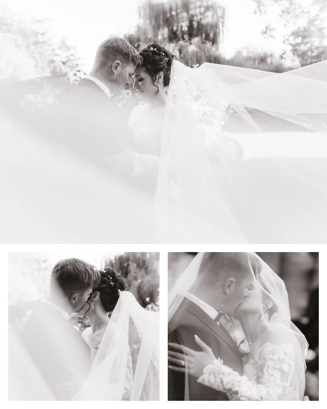 Veils are magic 🤗 Taken at Beacon Hill Park. #bcweddingphotographer #canadianweddingphotographer #lindseymillarphotography #westcoastwedding #vancouverislandweddingphotographer