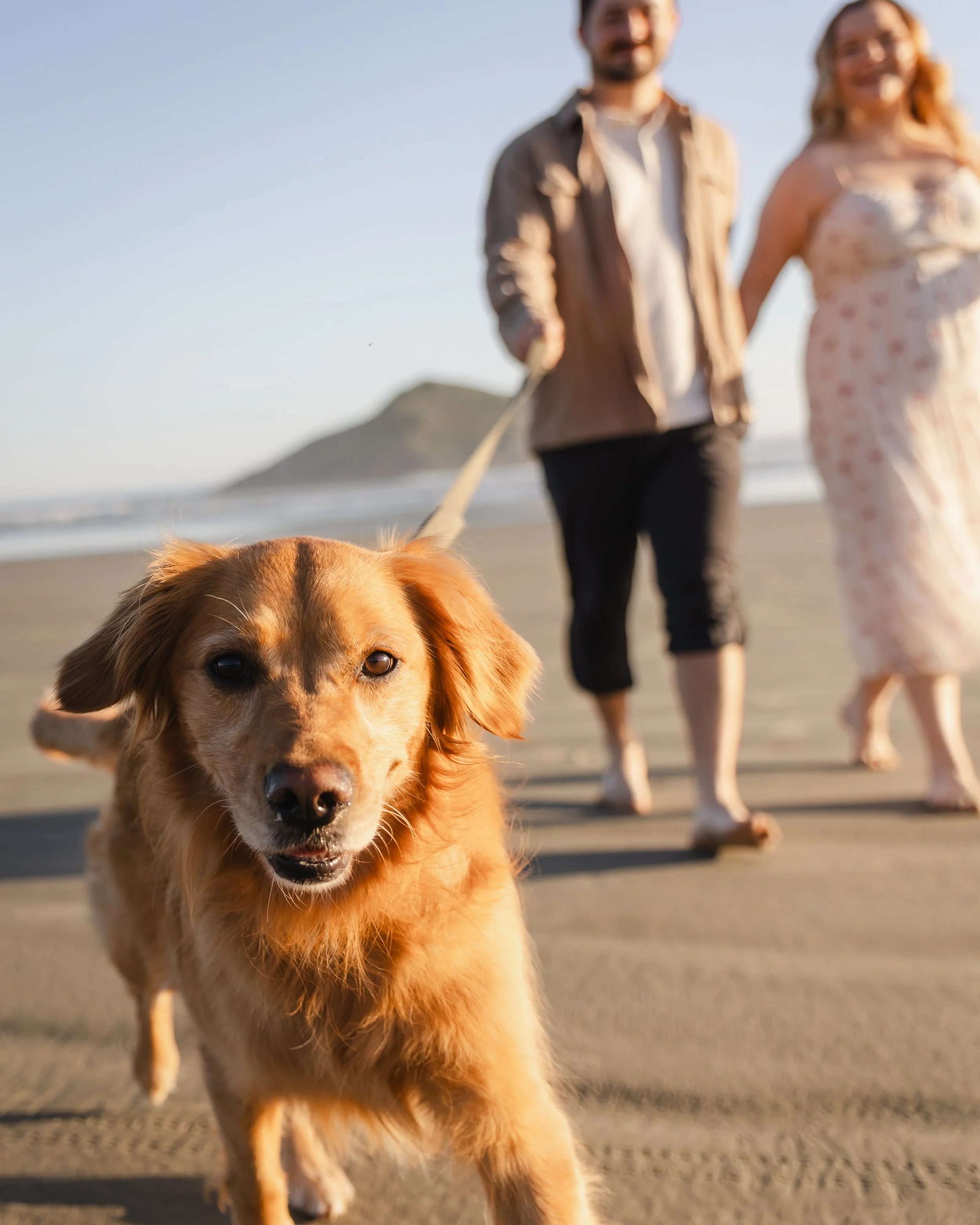 We LOVE dogs! We&rsquo;ll never say no to your dog joining your couples session. 🐾

Some of our favourite moments happen when everyone just relaxes and lets the session unfold naturally &mdash; muddy paws, happy chaos, tail wags and all. Your photos