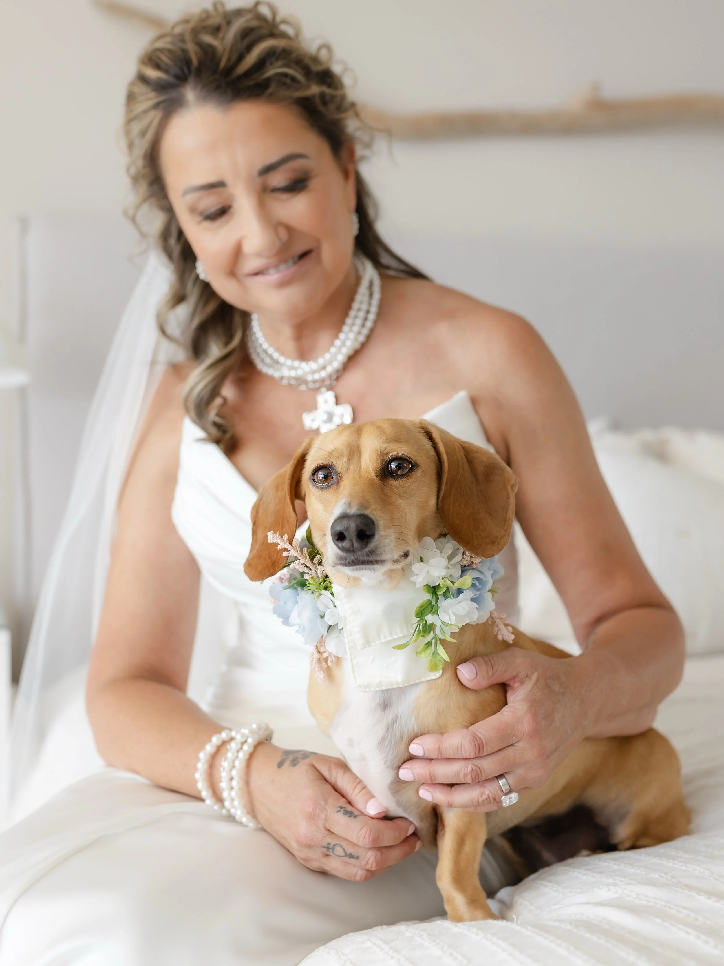 Do we love dogs? Yes! Yes we do. Especially adorable ring bearers like this little sweetheart! Meet Rangali 🥰 #bcweddings #westcoastwedding #weddingdogs #lindseymillarphotography