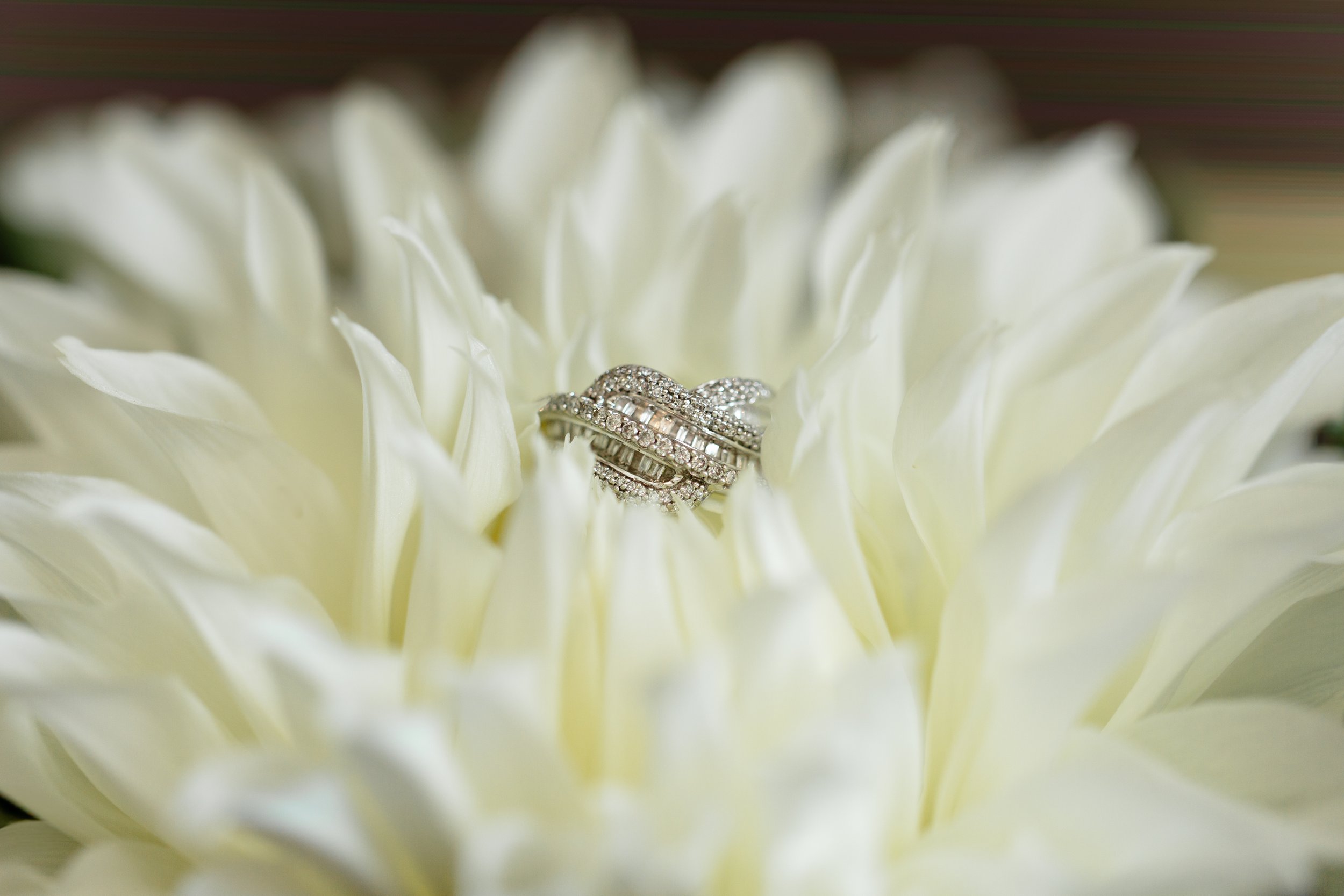 Ruhee and Taylor-2145.jpg