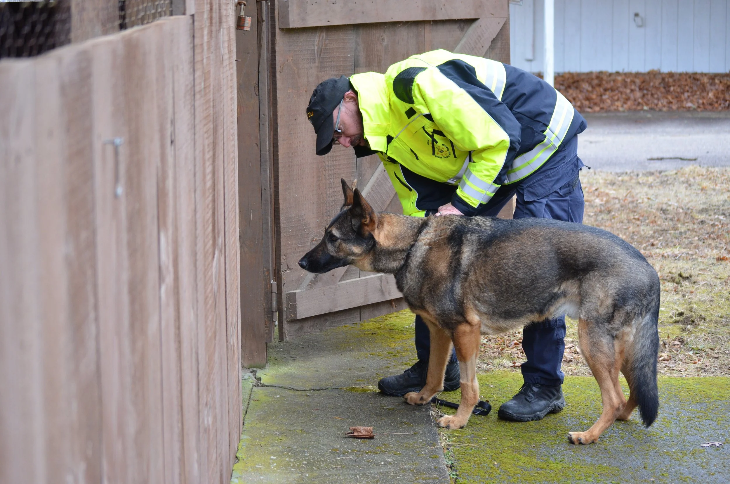 Team Profiles — Rhode Island Canine Search and Rescue
