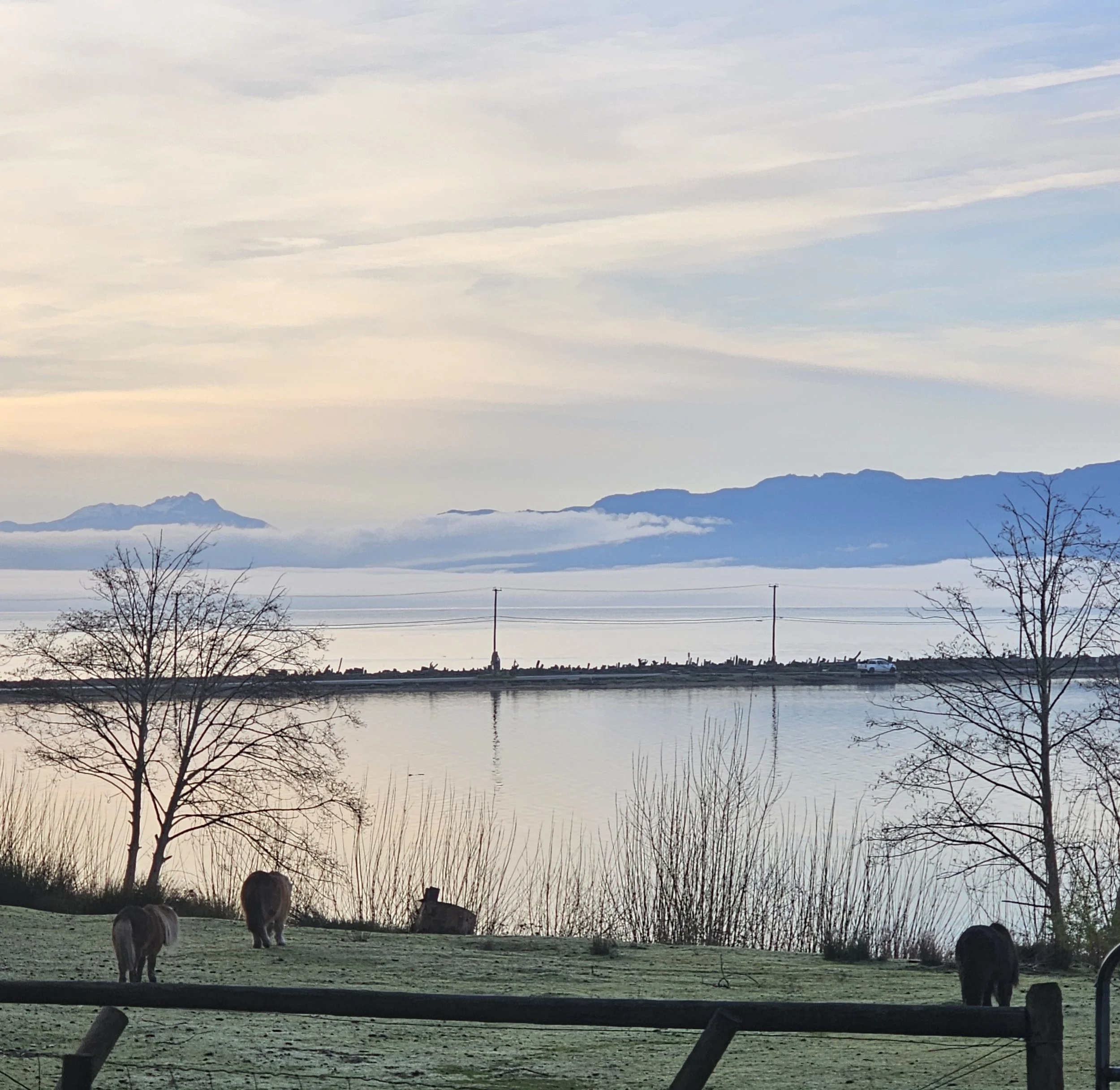 A Little Sunshine 🌞 