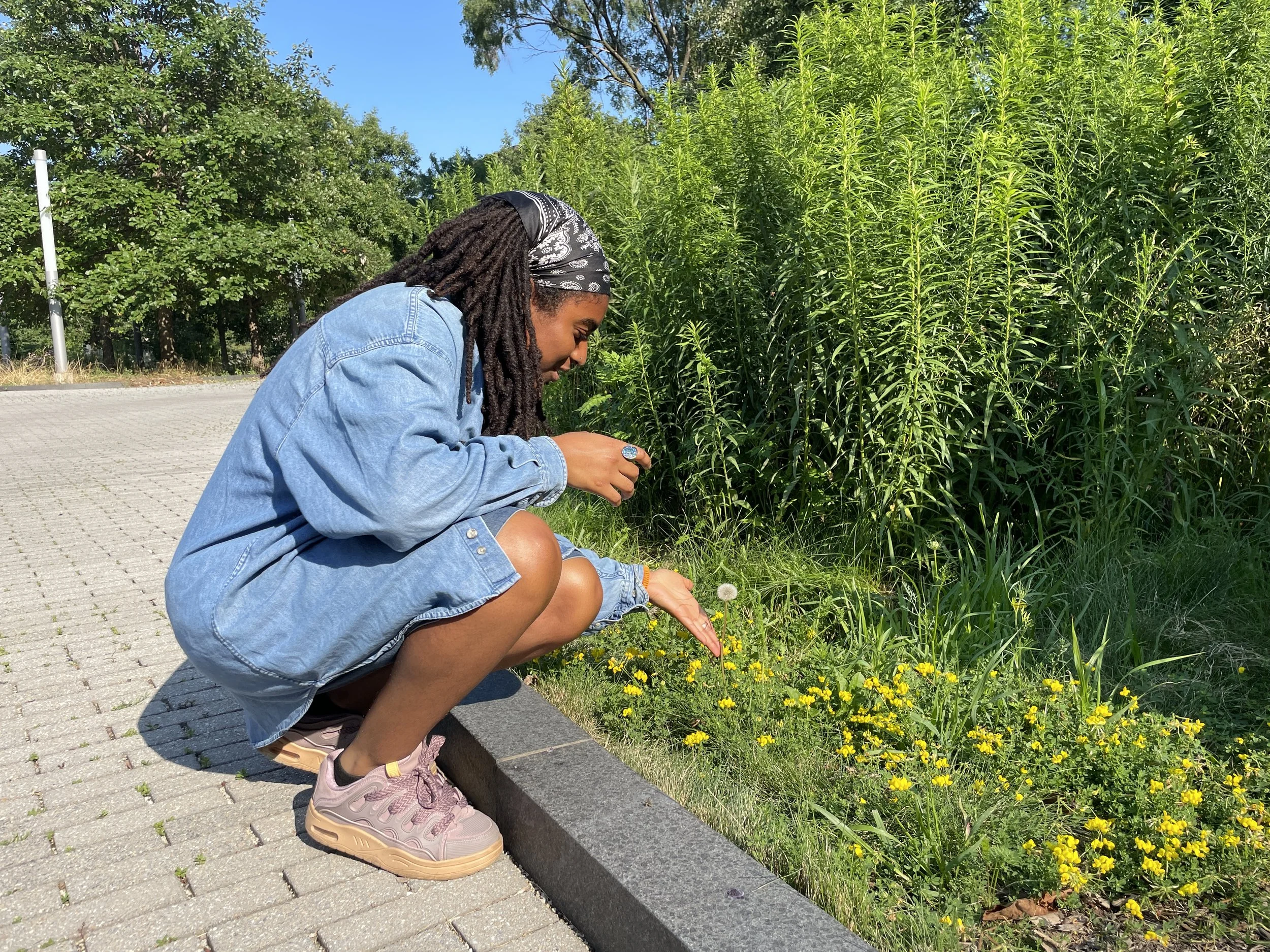 Fertilizing Freedom: Herbal/Plant Workshop with Dia Barno and Simone Reynolds