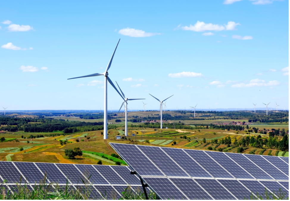 SECCCA to host Business Renewables Buying Group