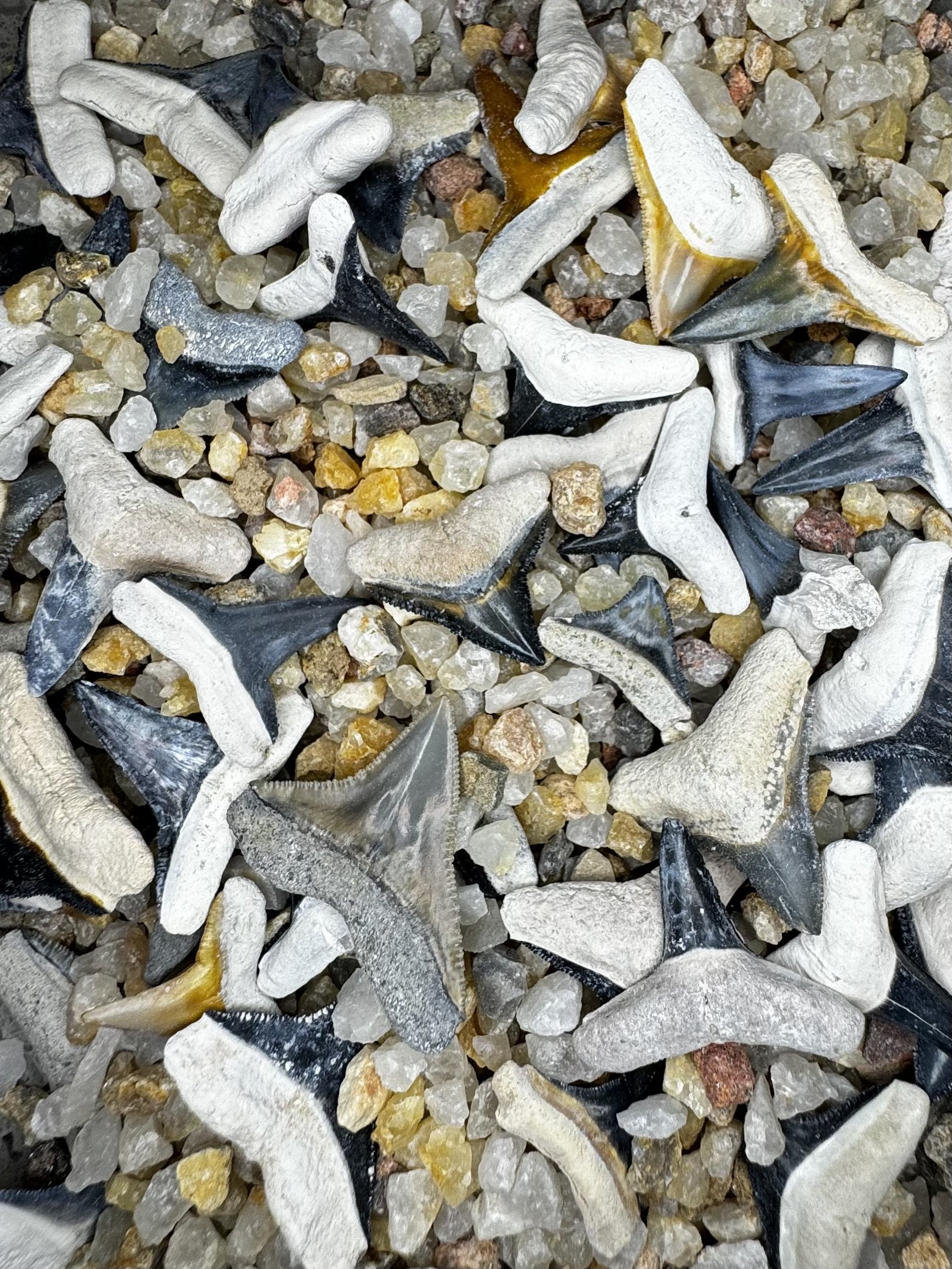 Premium Bone Valley Gravel Jar