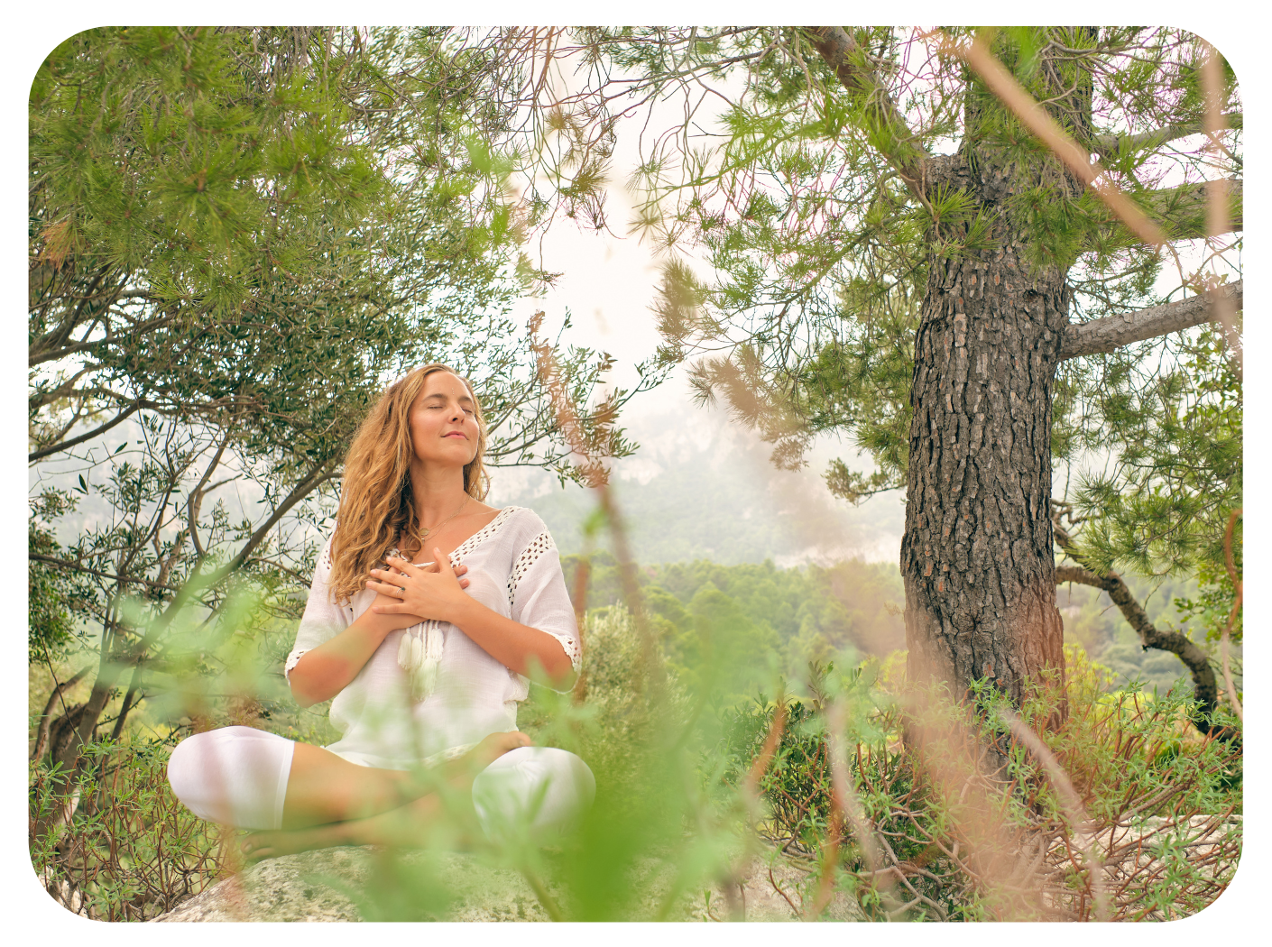 Reenergize with Forest Bathing