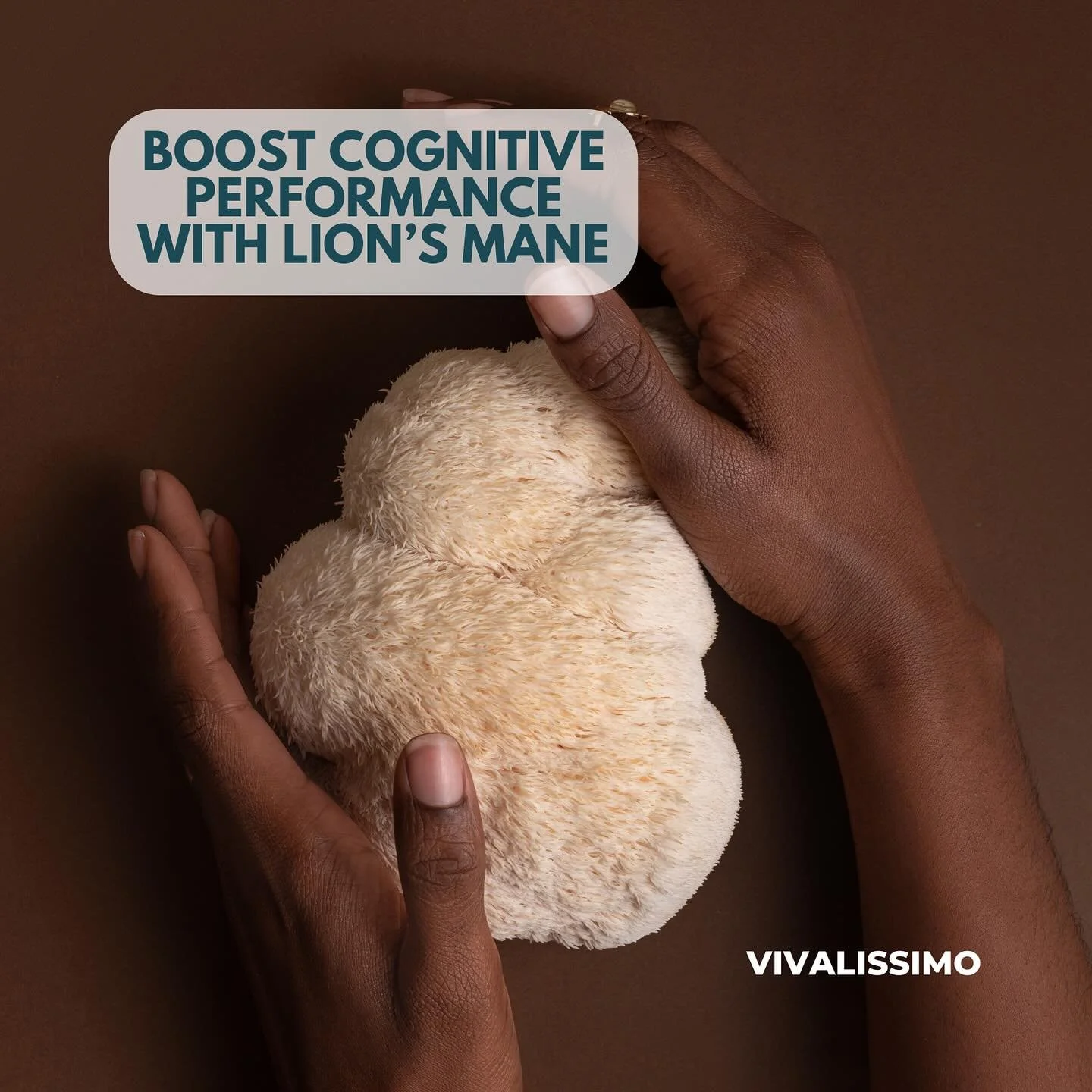 A powerhouse of antioxidants and B vitamins, Lion’s Mane is gaining popularity for its ability to boost cognitive performance and support mood, especially during hormonal changes and menopause. Link in Bio. #lionsmane #adaptogens #functionalnit
