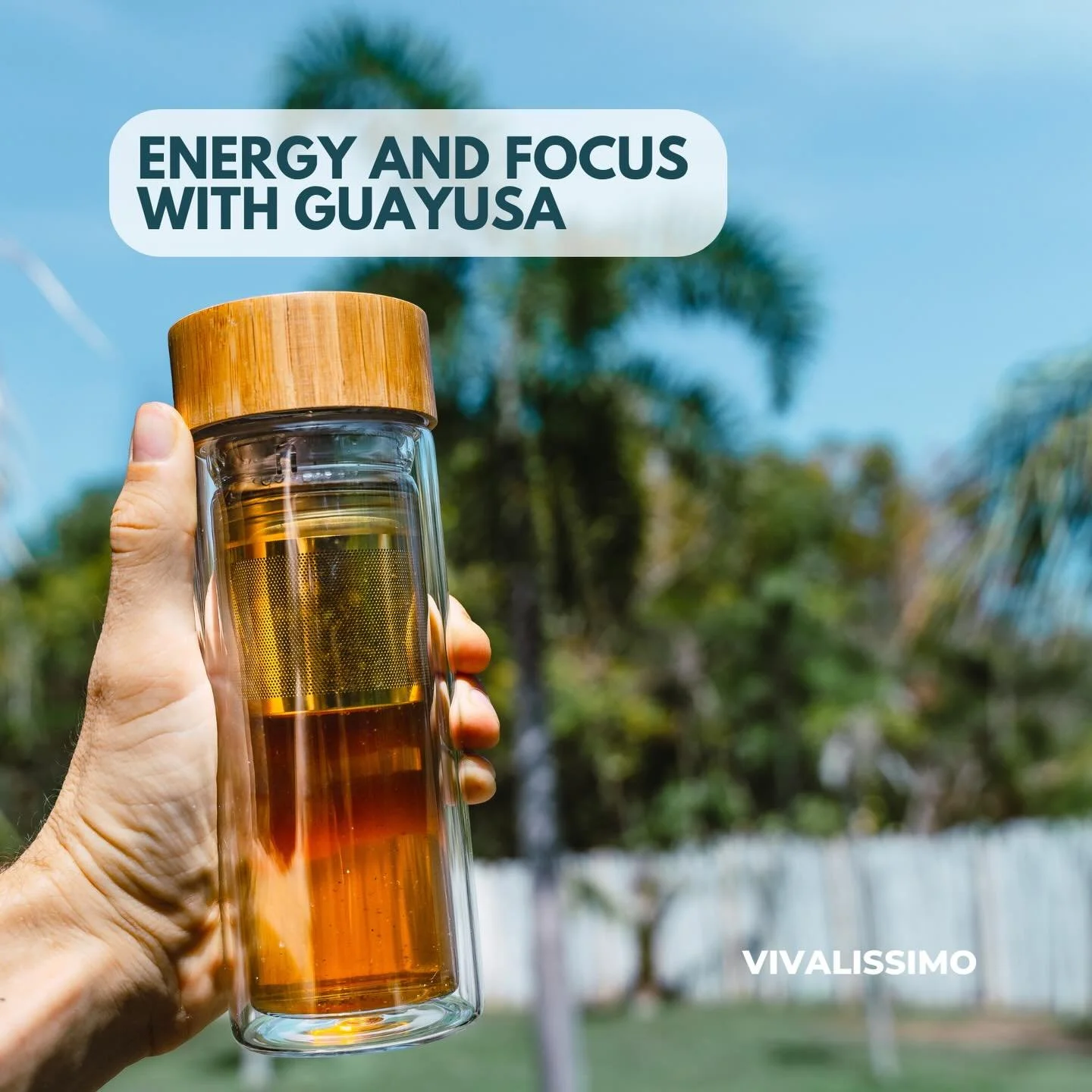 Looking for a coffee alternative that still delivers your energy boost? Discover guayusa &ndash; a rich, antioxidant-packed tea that energizes without the jitters of caffeine.
Link in Bio. #energy #adaptogens #functionalnutrition