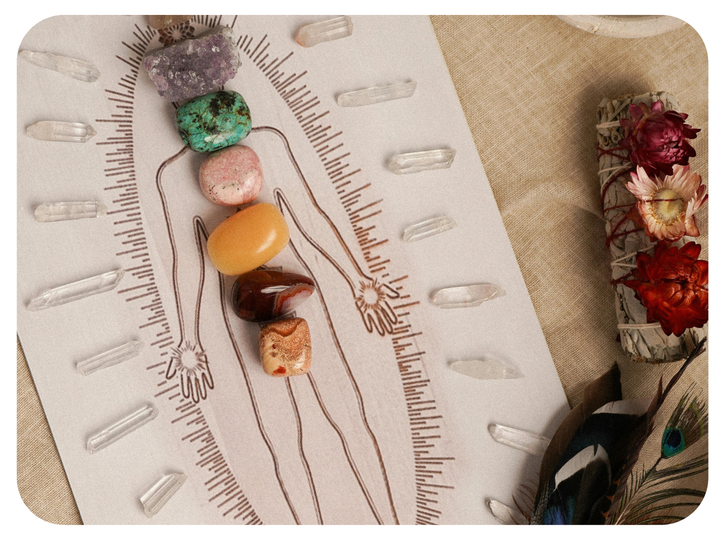 Chronotherapy: The Body’s Organ Clock