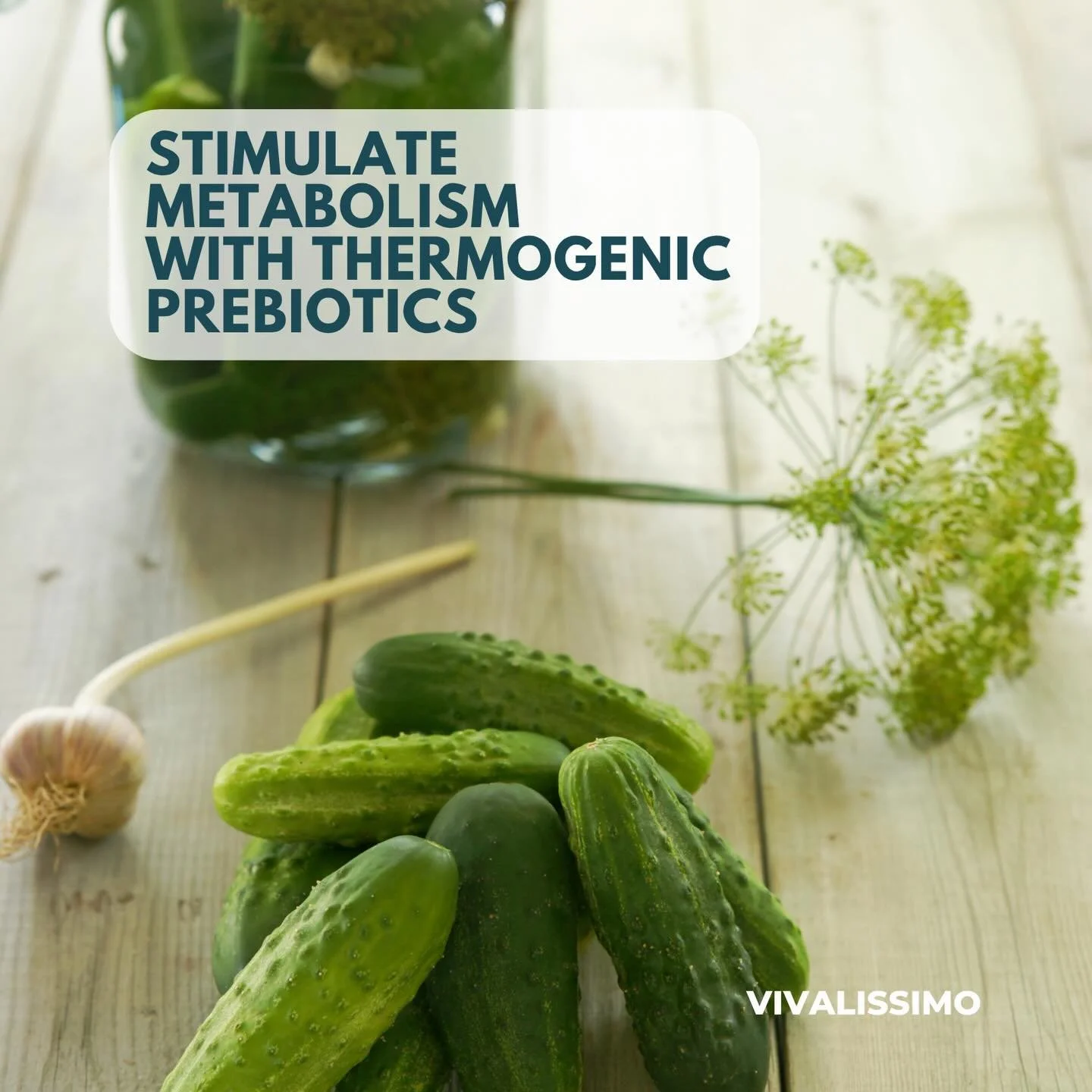 By supporting gut health thermogenic prebiotics like green tea, kombucha, and kimchi can promote a more efficient metabolism and help with weight management. Link in Bio. #functionalnutrition #adaptogens #probiotics #guthealth