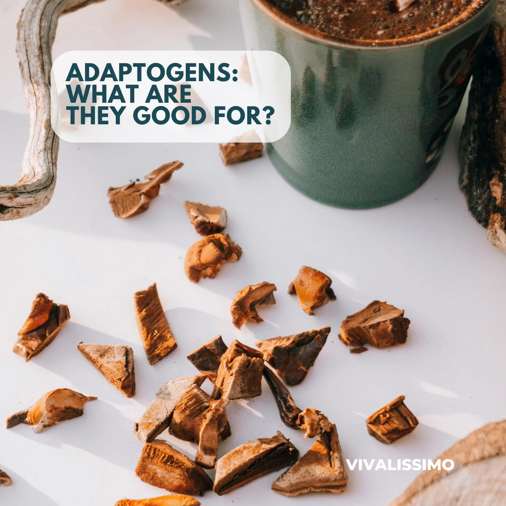 Rooted in centuries of Chinese and Ayurvedic medicine, adaptogens are powerful plants known for helping the body manage stress. but they also offer many other health benefits. Link in Bio. #adaptogens #functionalnutrition #hormonalbalance