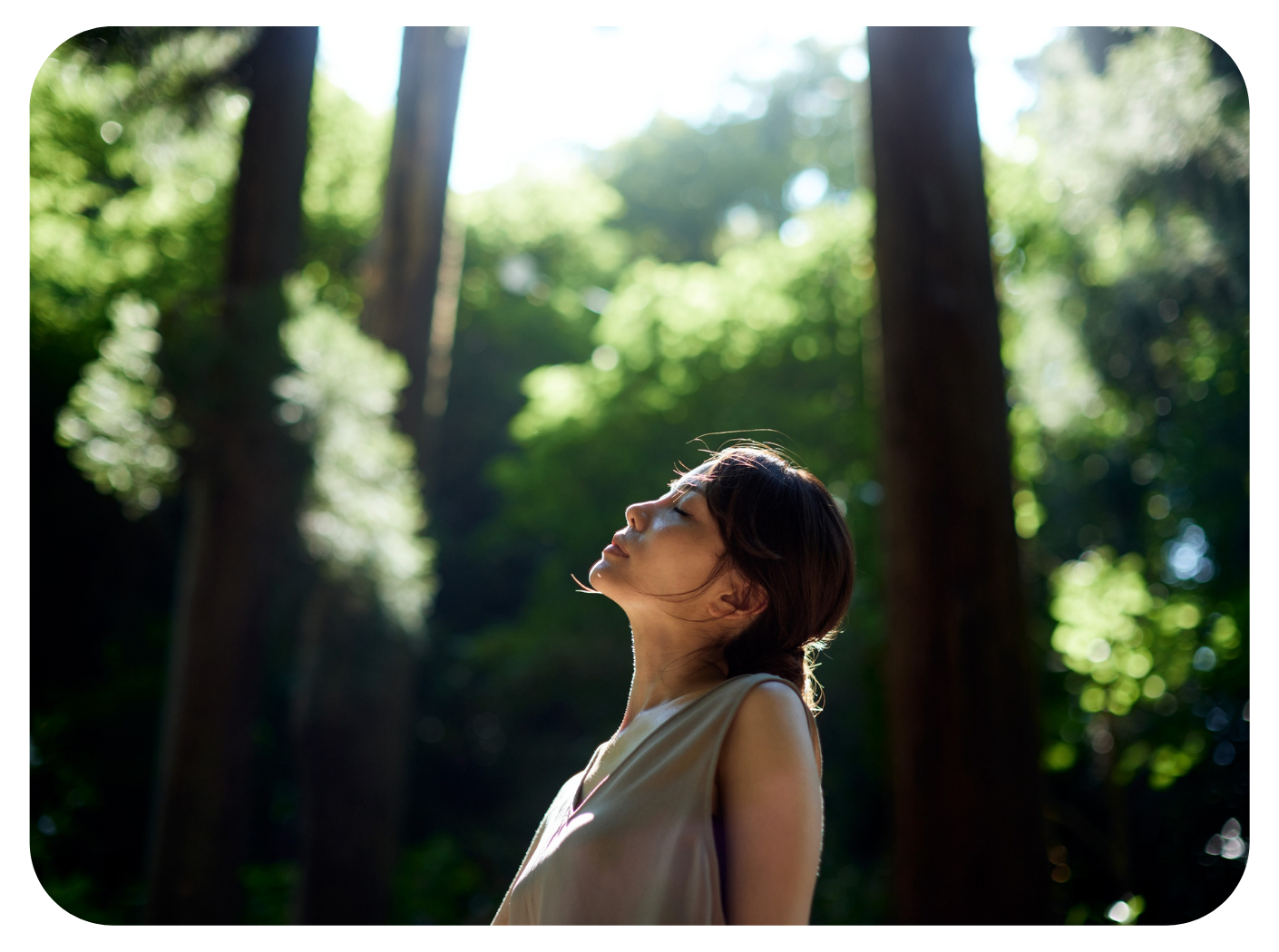 Reenergize with Forest Bathing