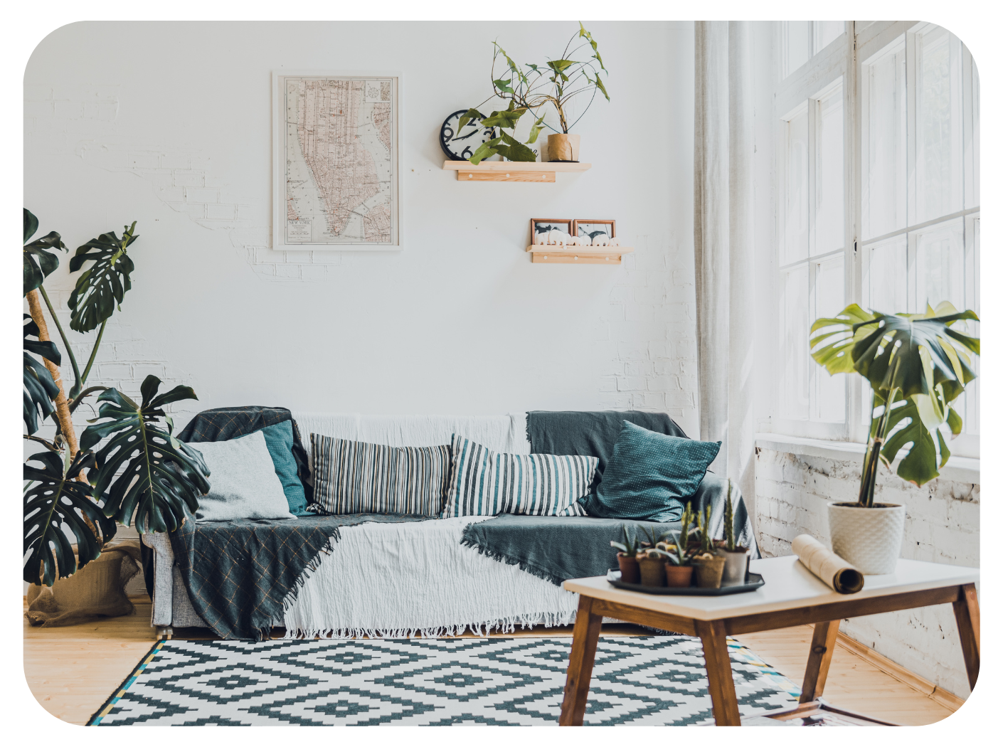 Indoor greenery comes with many benefits — Vivalissimo