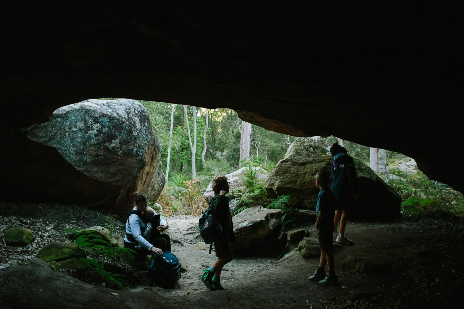 Kincumber mtn-4.jpg