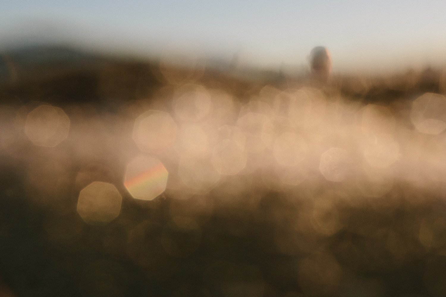 Surfebruary web res-22.jpg