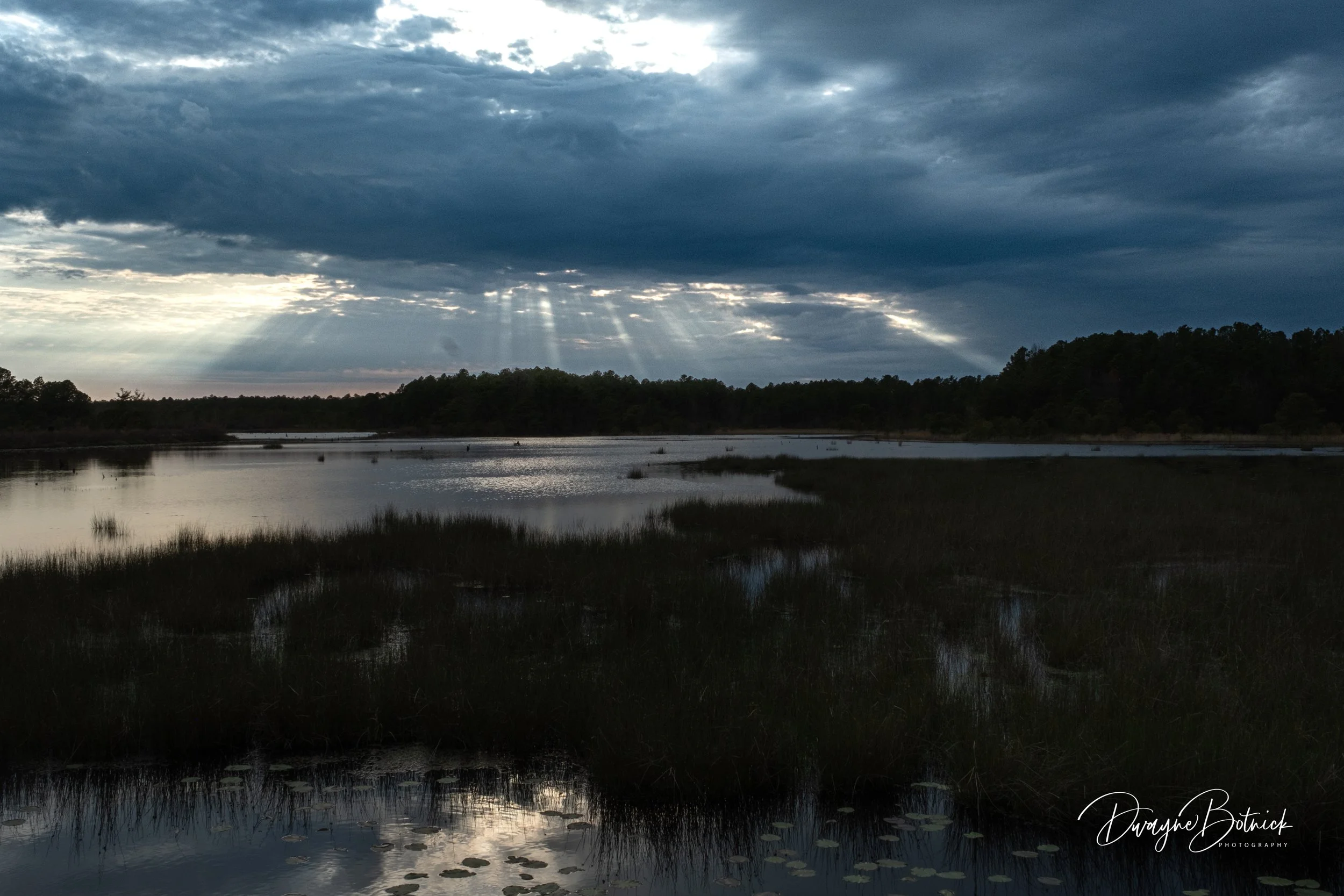 Sunset Franklin Parker Preserve