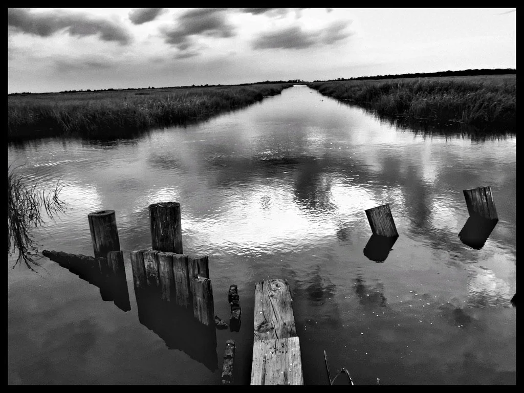 Delaware Bay Marsh Leading to Thompsons Beach