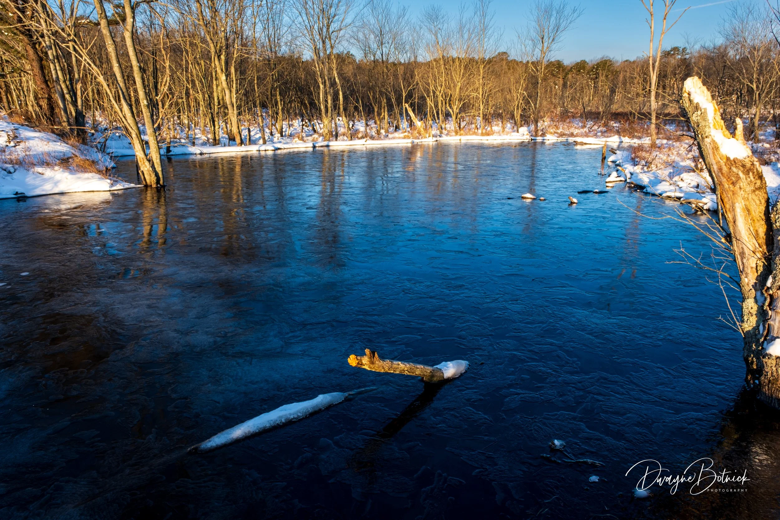 Frigid Morning-3 Black Run Preserver