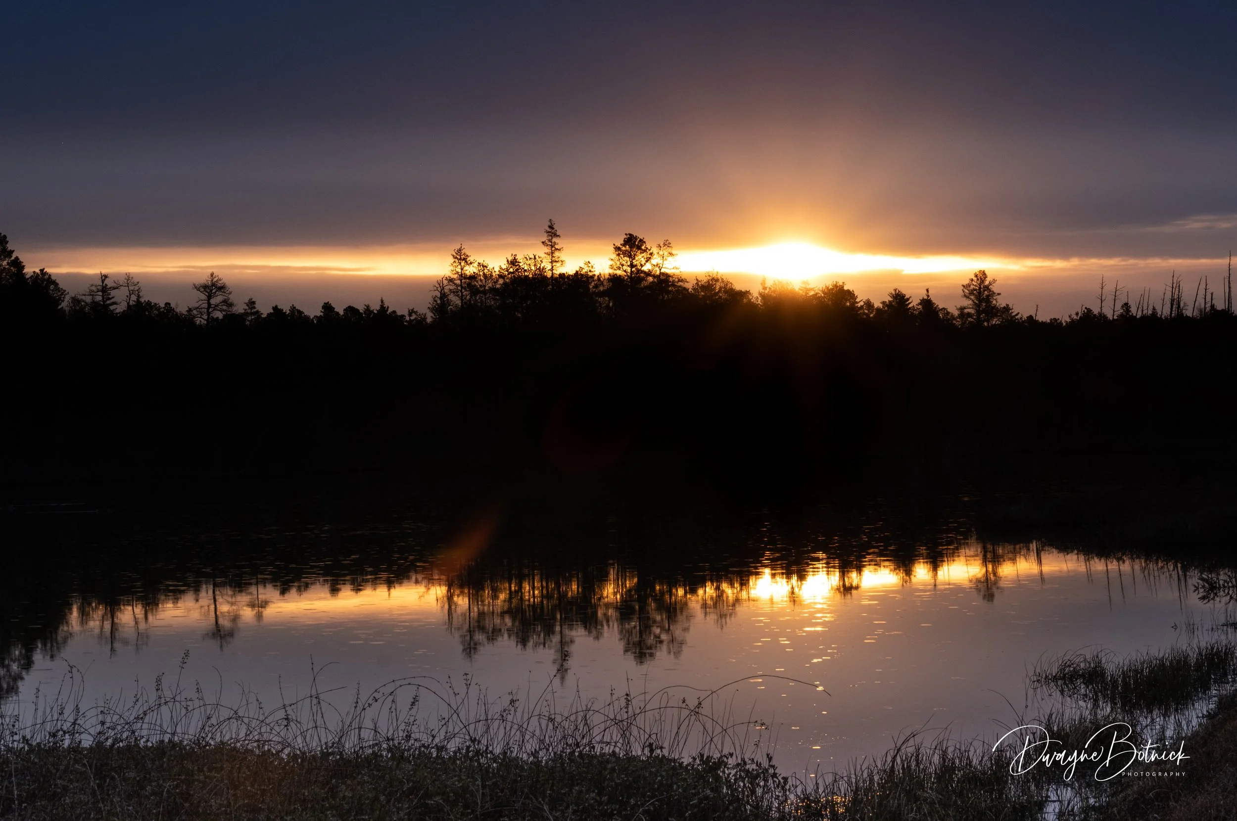 Sunrise Franklin Parker Preserve