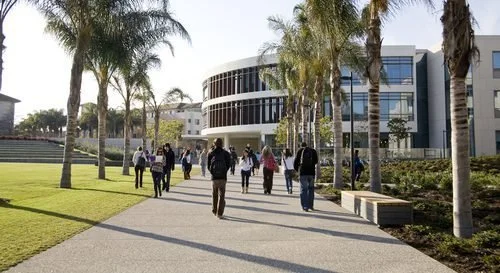 Students walking down a palm-lined pathway towards a modern university building.