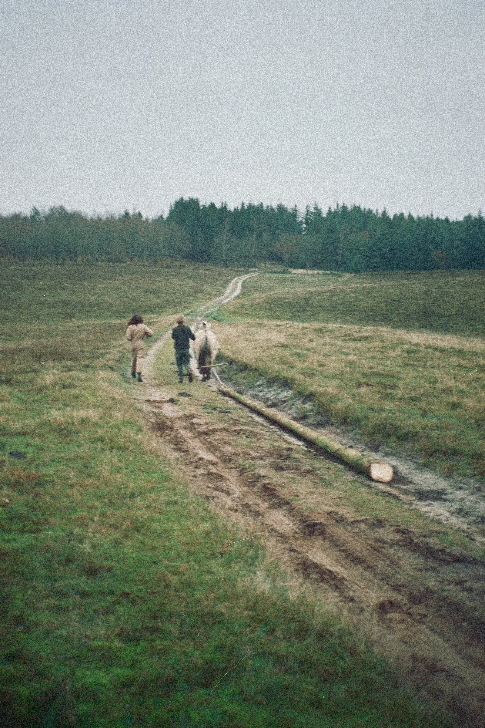 _14_00025.jpg