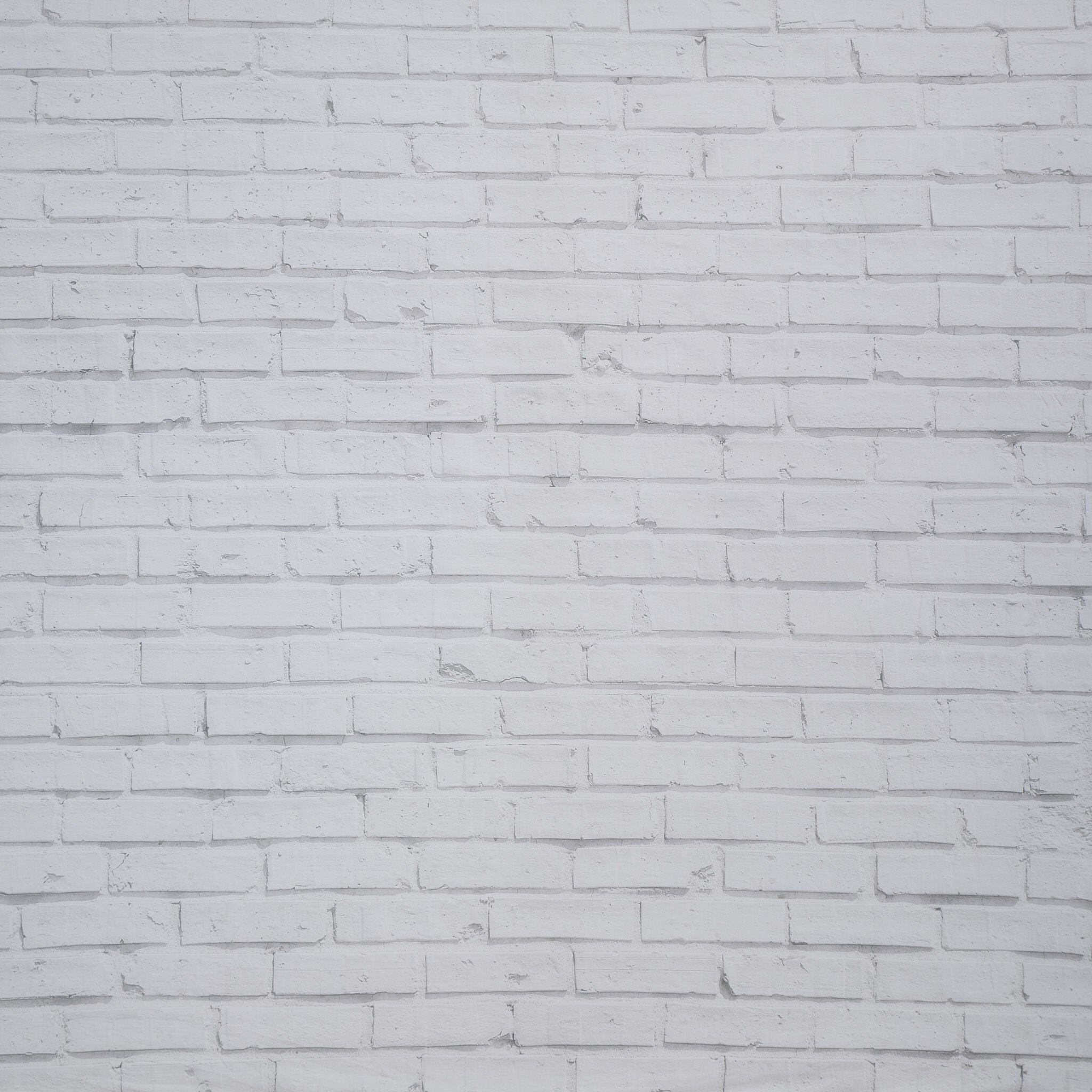 White painted brick wall.