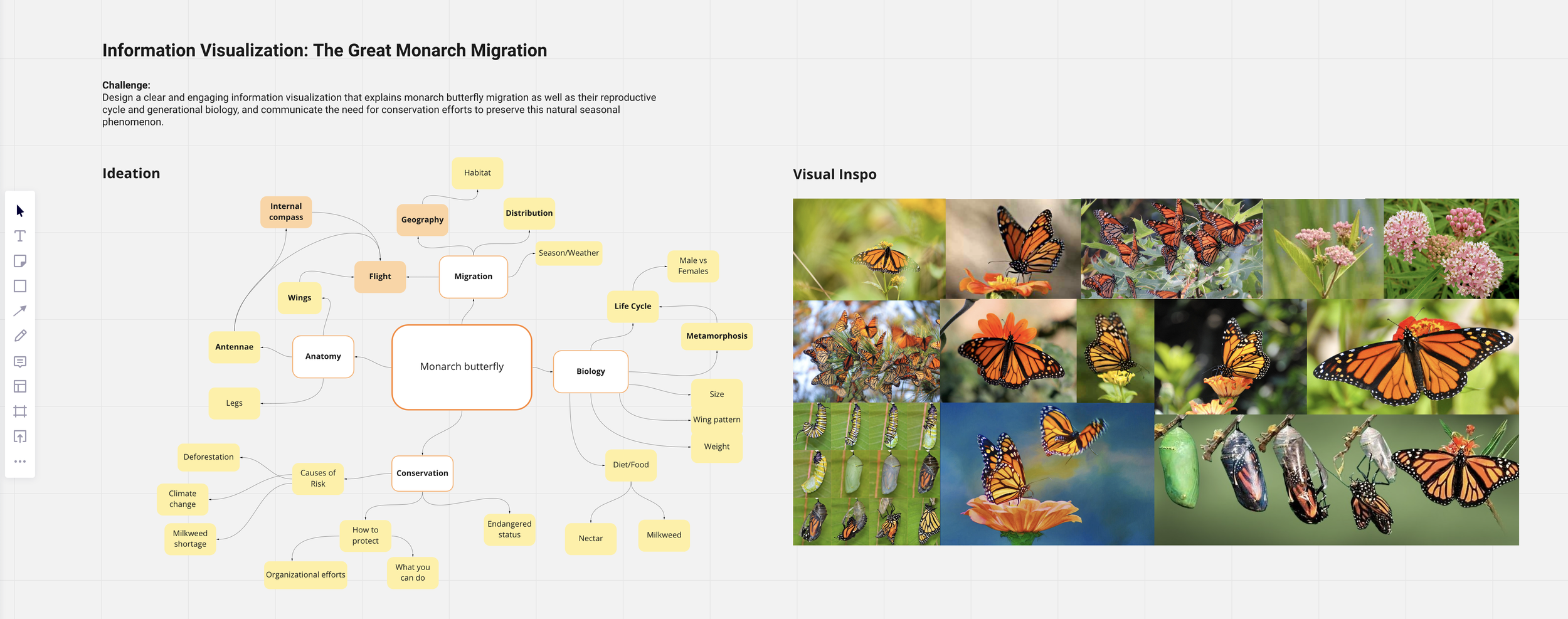 Ideation for the Great Monarch Migration