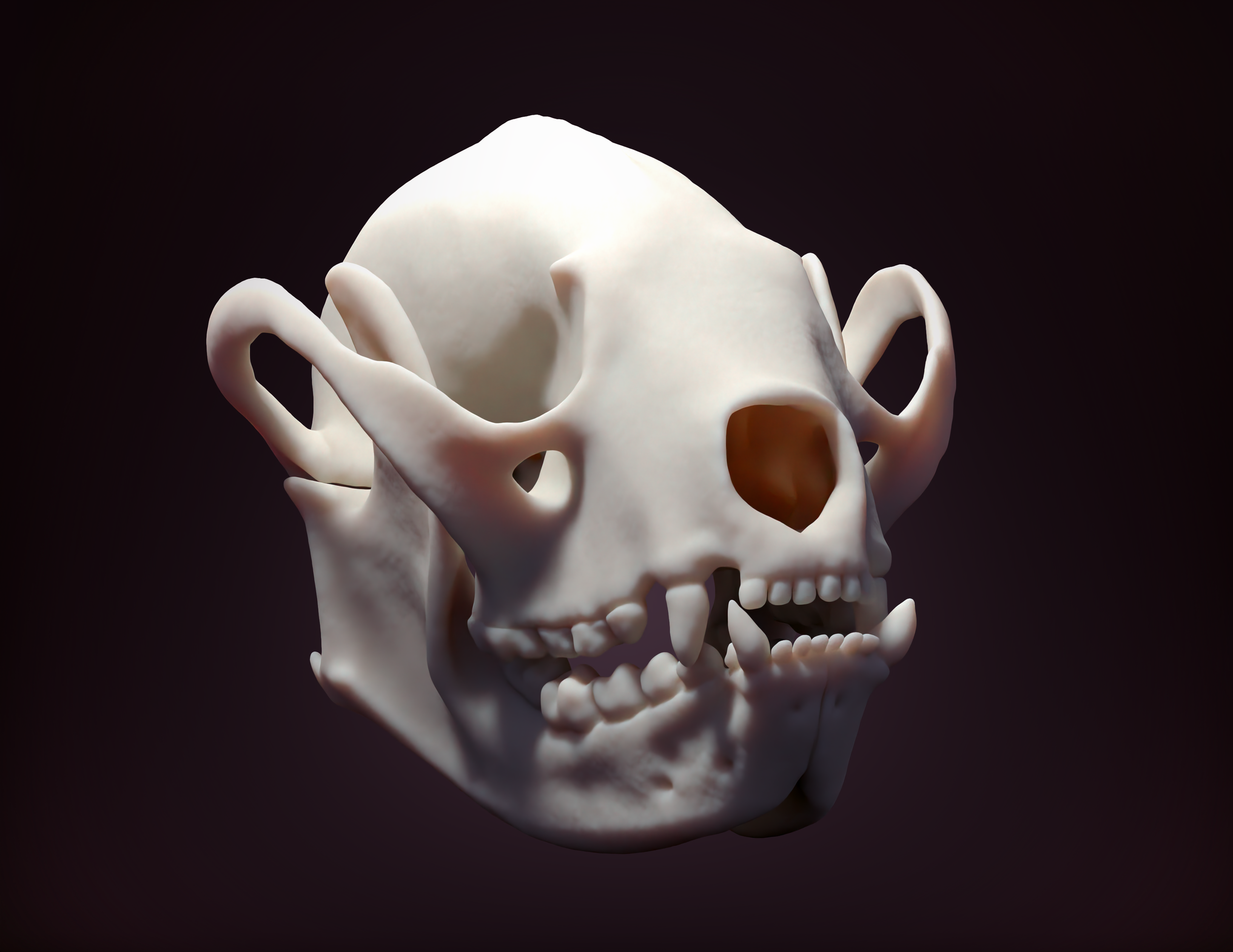 Red Panda Skull