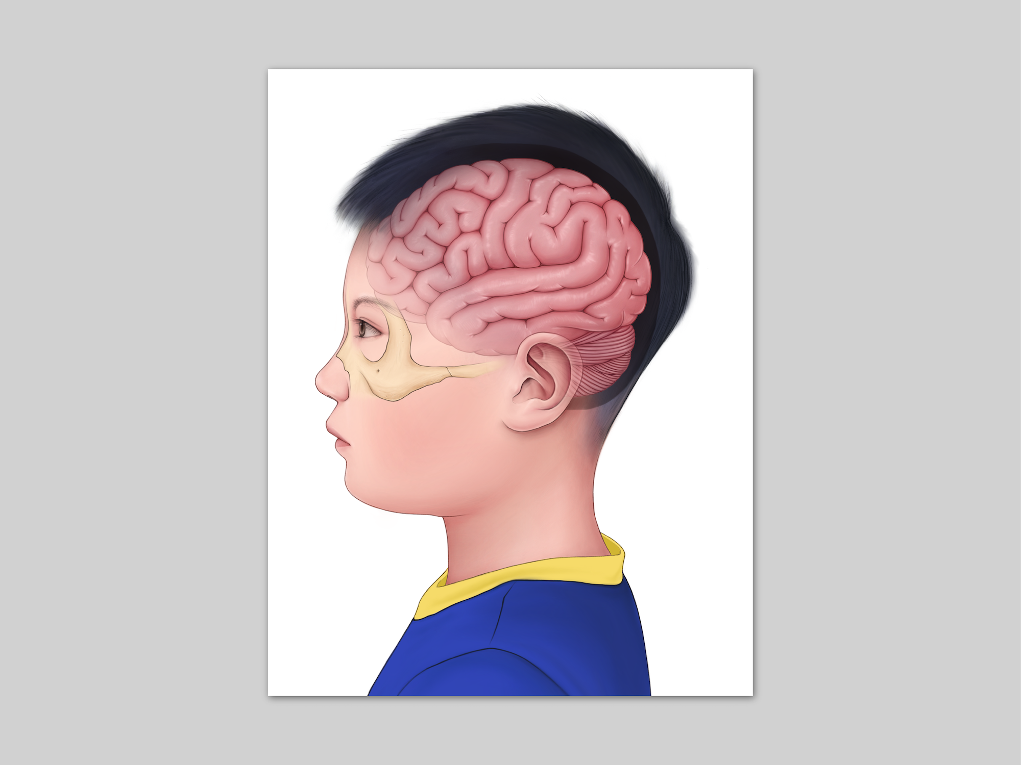 Neuroanatomy Portrait