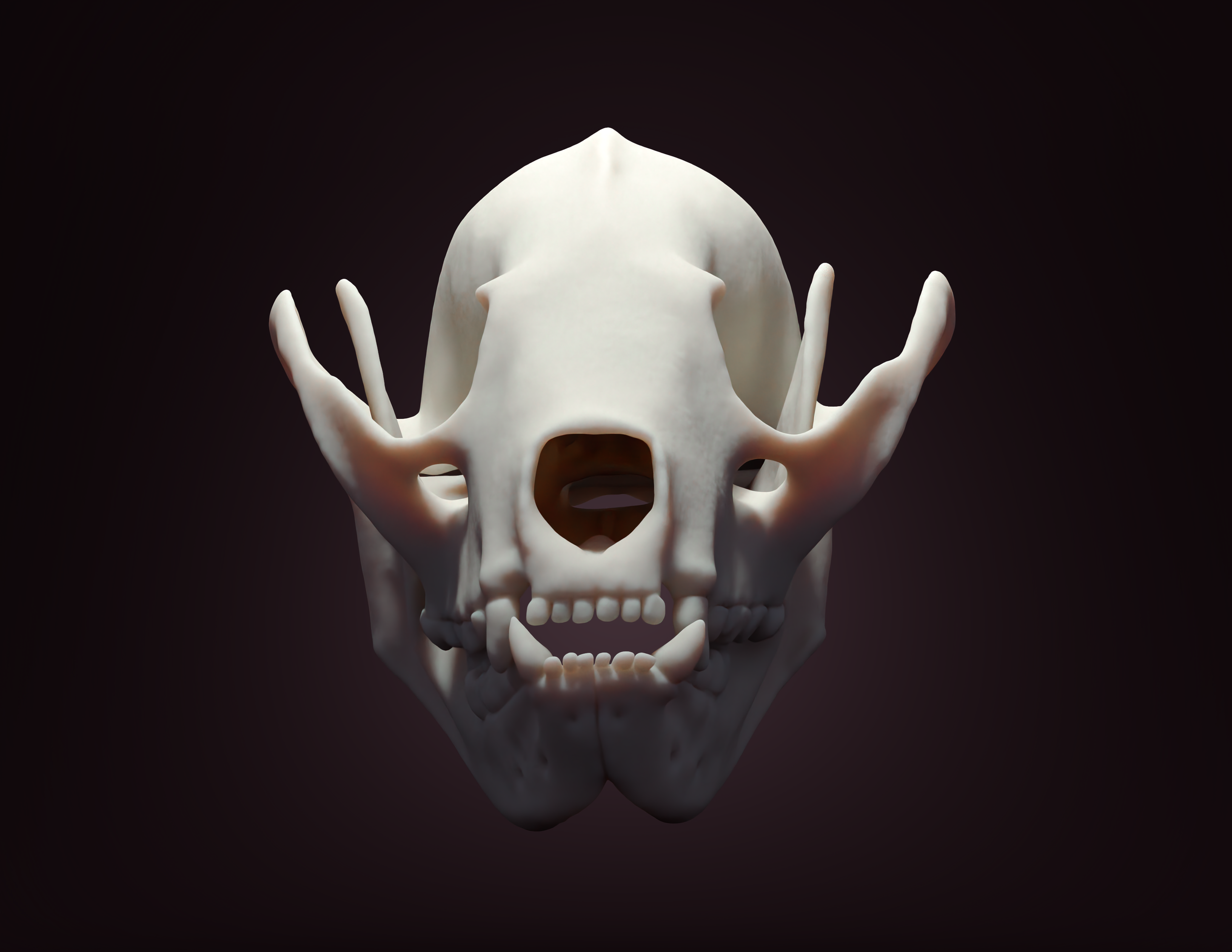 RedPandaAnterior copy.png