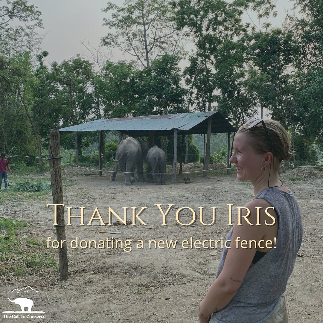 Keeping elephants chain-free one electric fence at a time! 🎉

Thanks to the generous donation of new electric fence materials, we have been able to build a stronger electric fence for two elephants that were back on chains due to the breaks in their