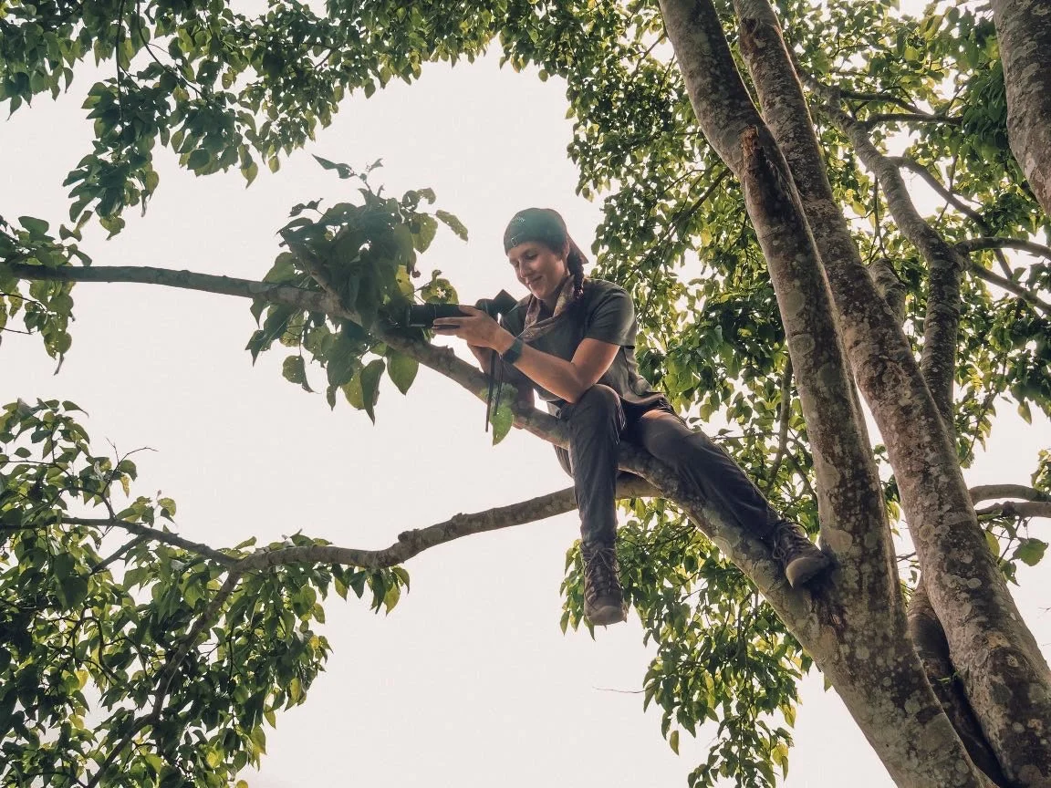 A woman sitting on a tree branch using a camera or binoculars during daytime.