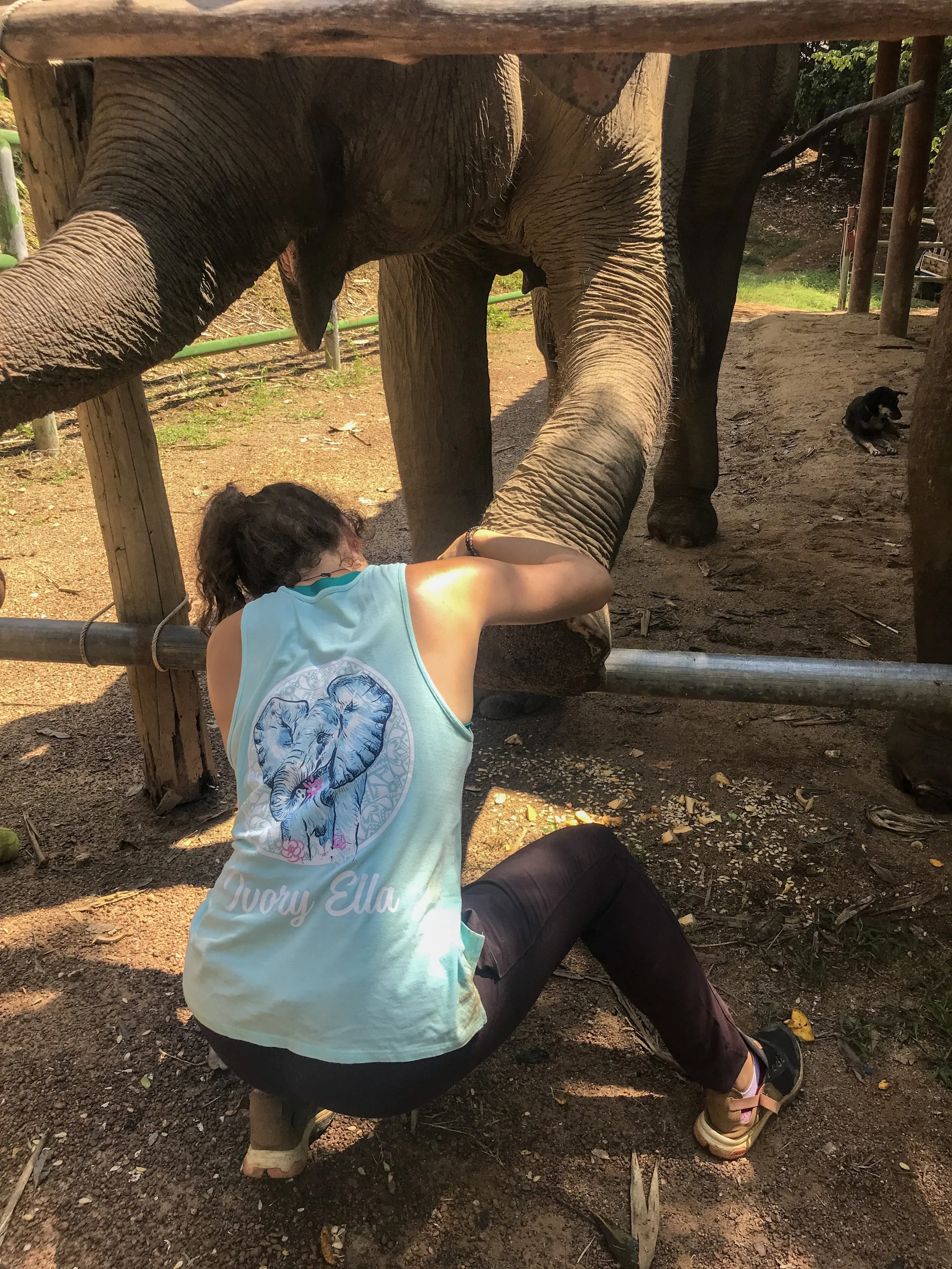 A woman kneeling on the ground, reaching under the trunk of a large elephant to touch its foot at a zoo or sanctuary.