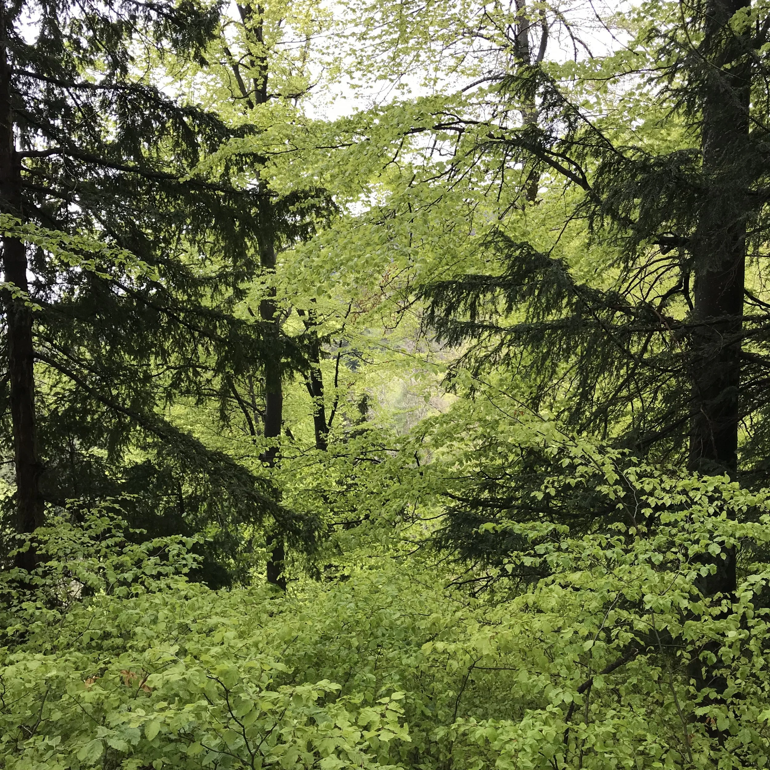 WANDERNACHT |&nbsp;KALTBADEN | MUOTATHAL