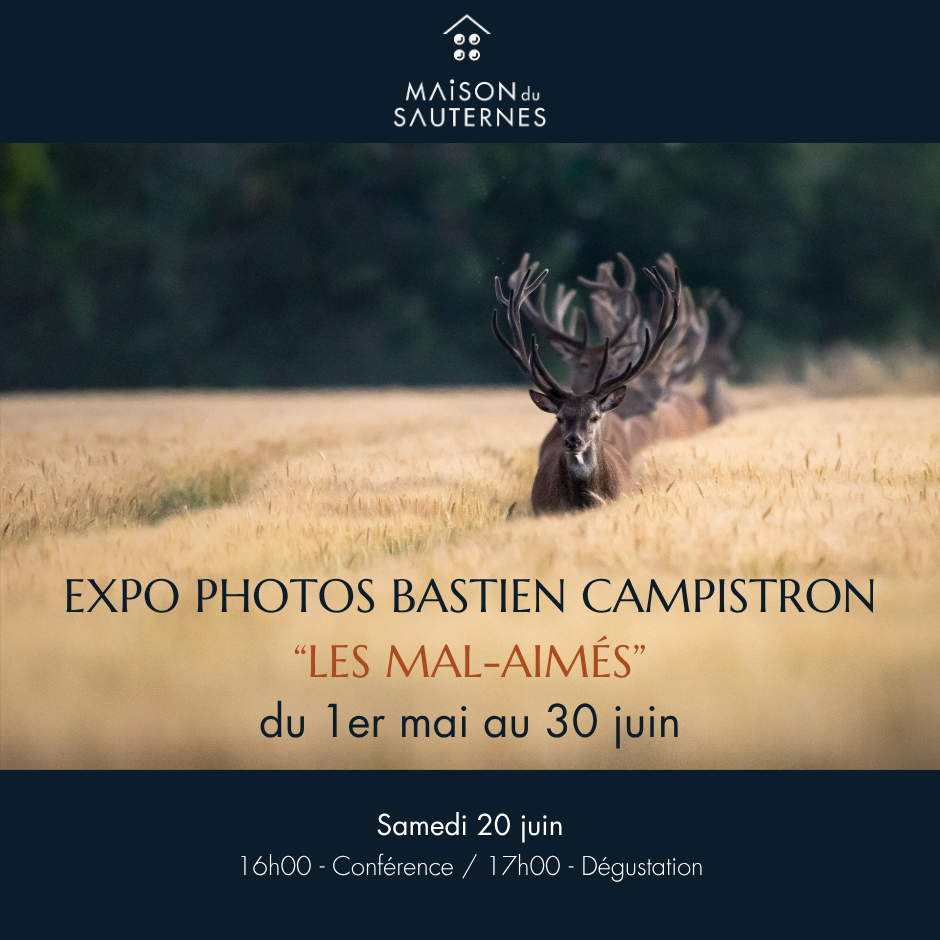 Exposition Photos de Bastien Campistron