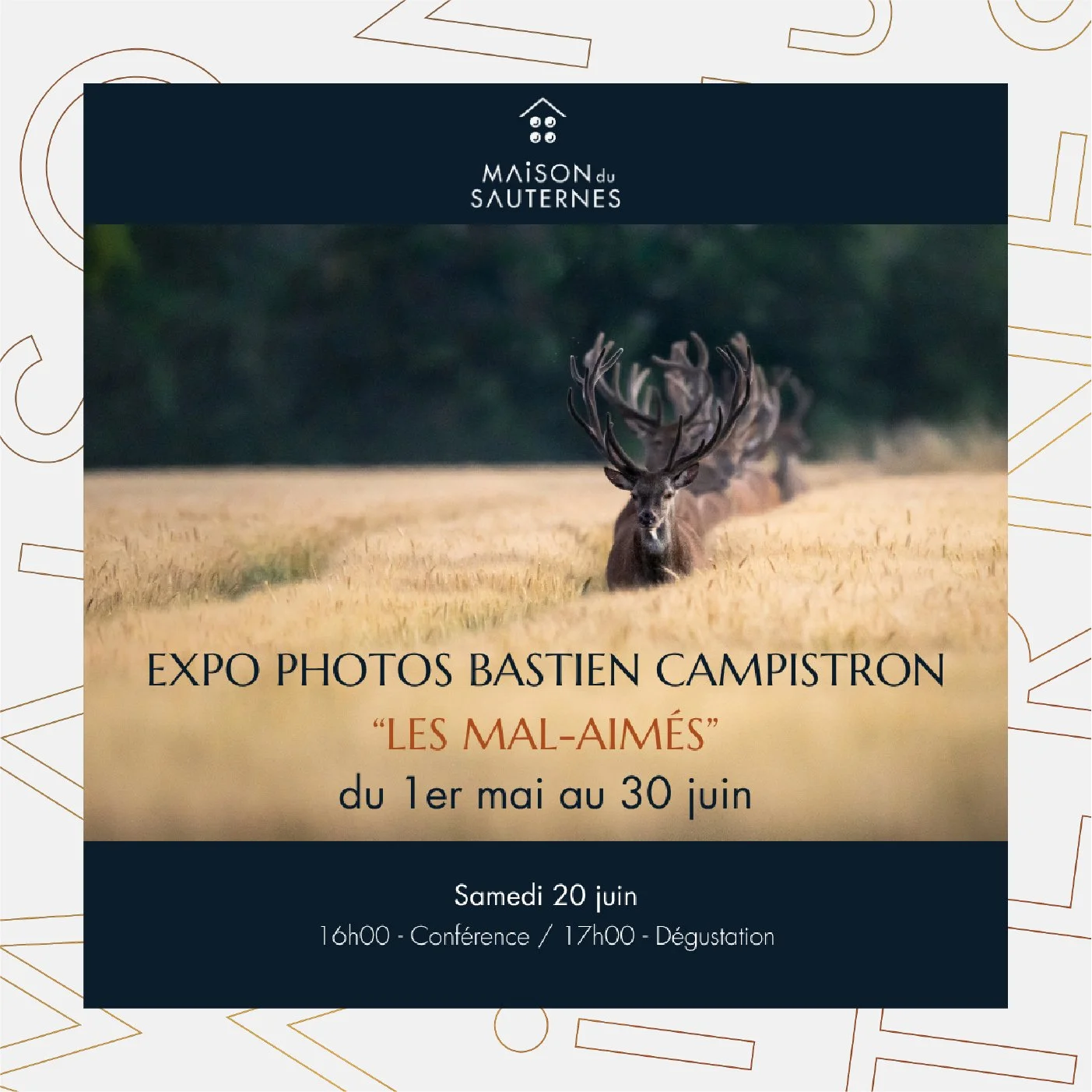 Exposition Photos de Bastien Campistron