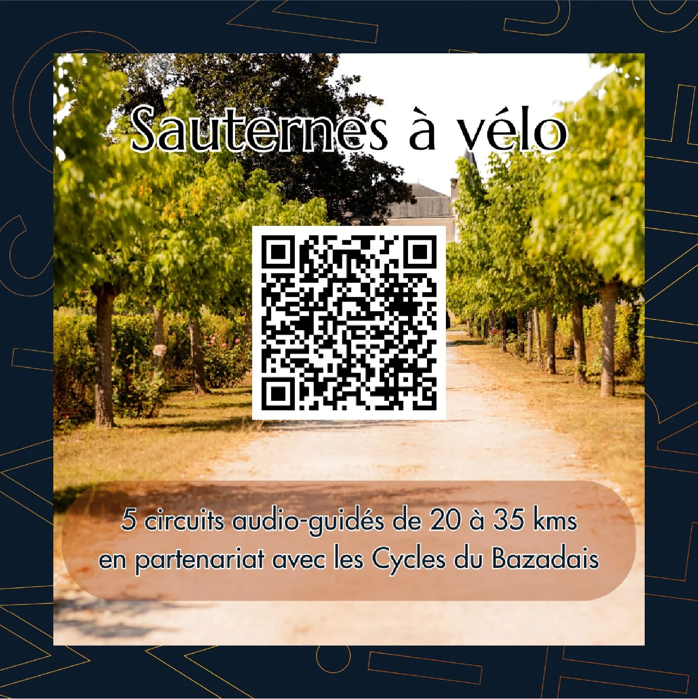 Sauternes à vélo