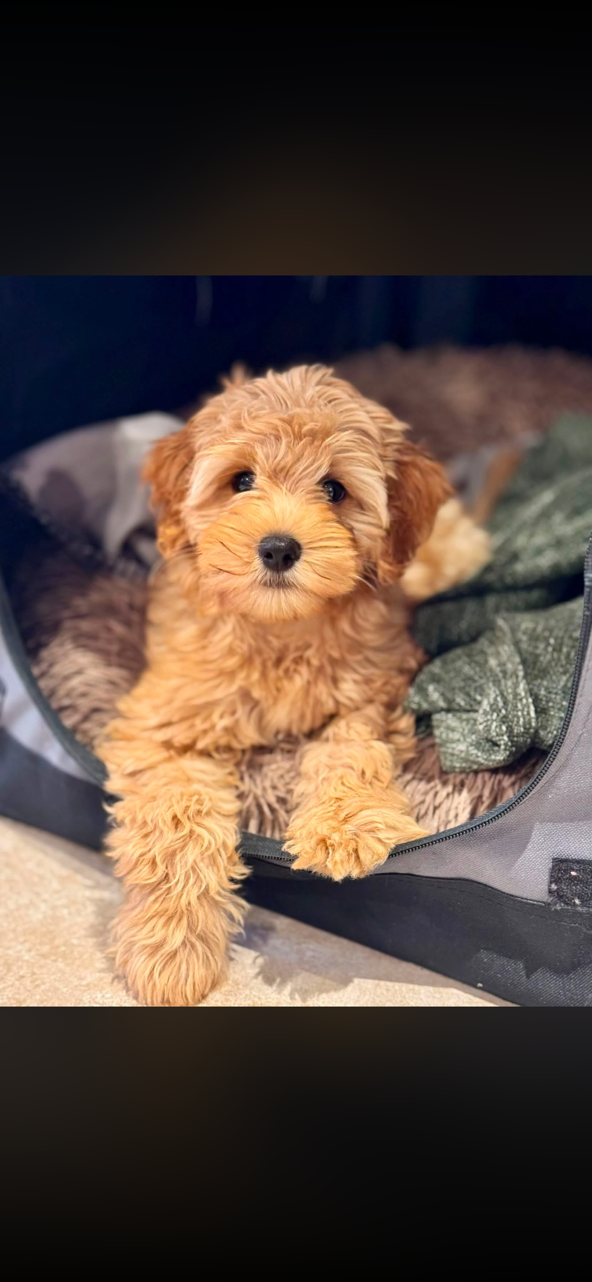 IMG_0732.png