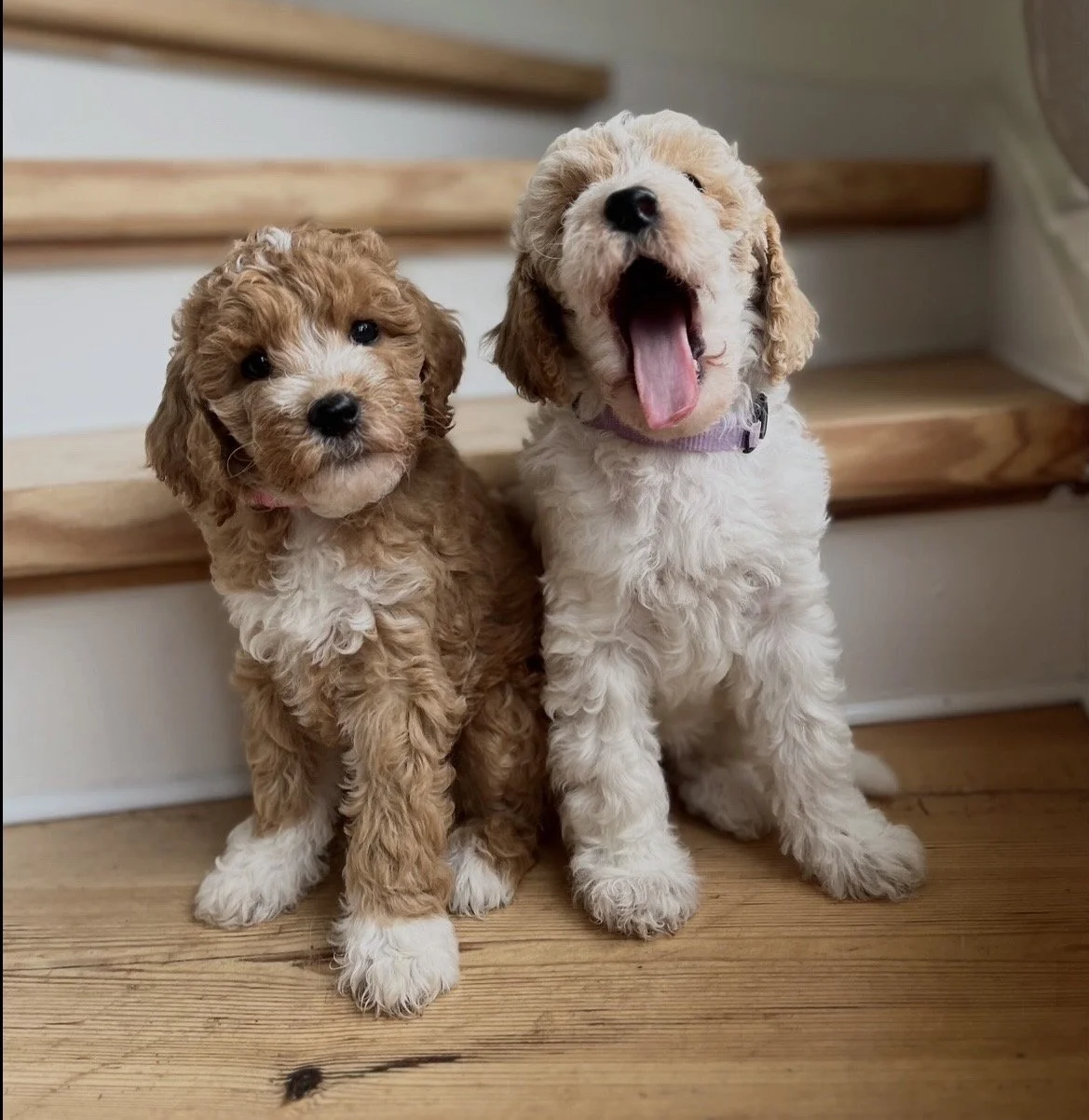 IMG_0775.jpeg