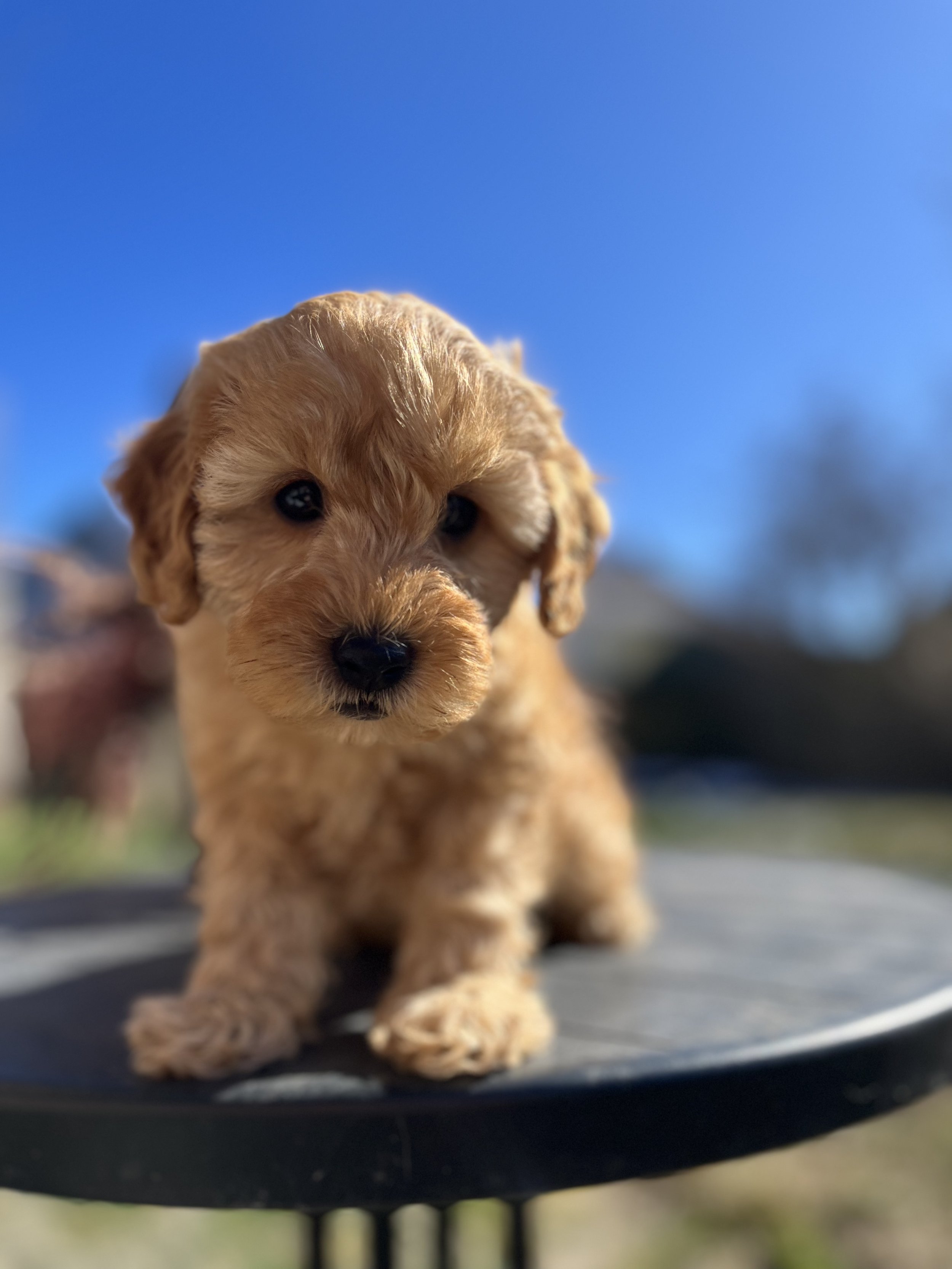 2A00672B-4B8E-44D3-8082-5934A8D45A9F.jpeg