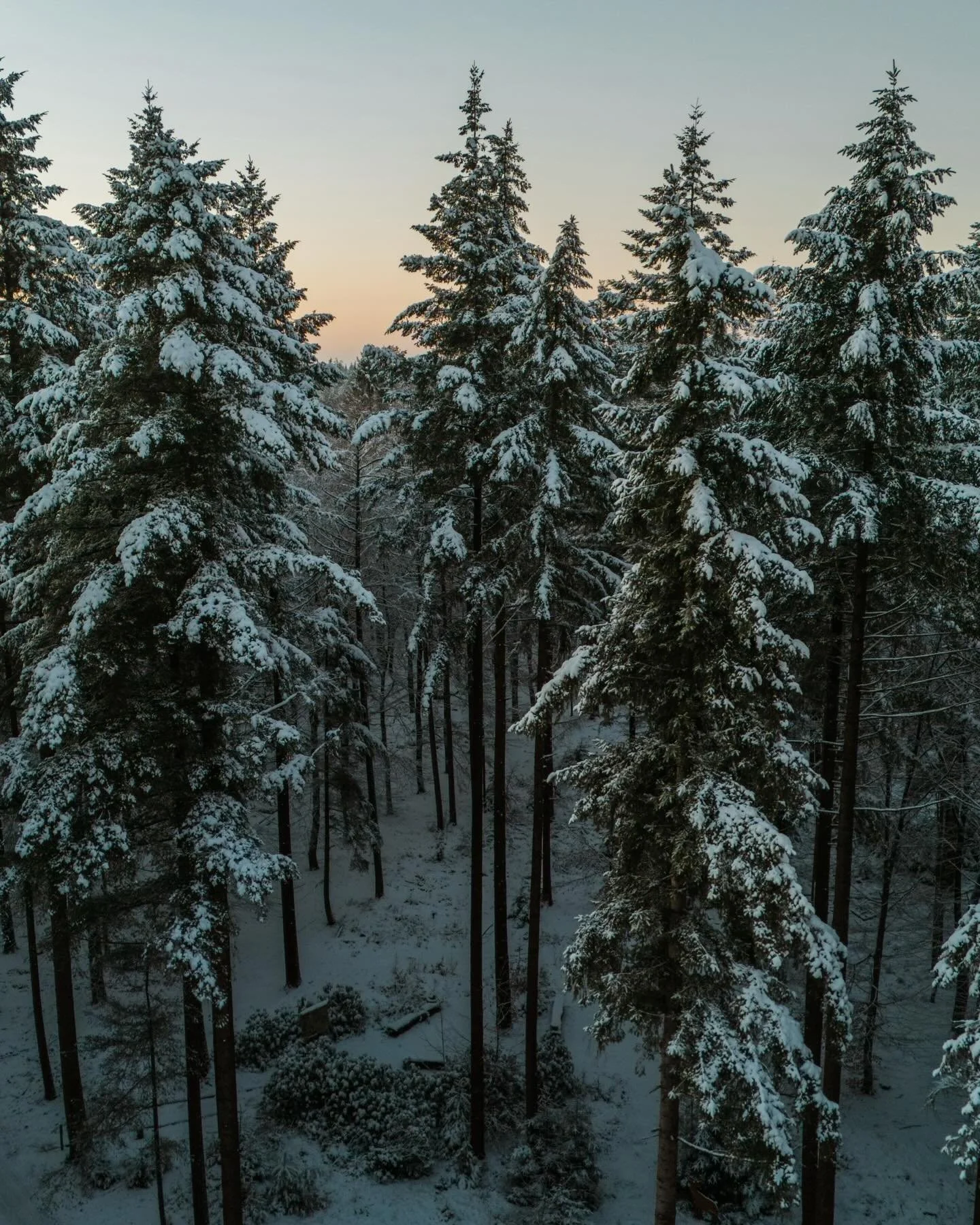 The sunset was pure magic this morning! Got so stoked capturing it! This is just a fraction of what I shot with my drone.
The moment I launched and rose above the trees, I knew this was pure gold. The snowy landscape and the warm sunlight hitting the