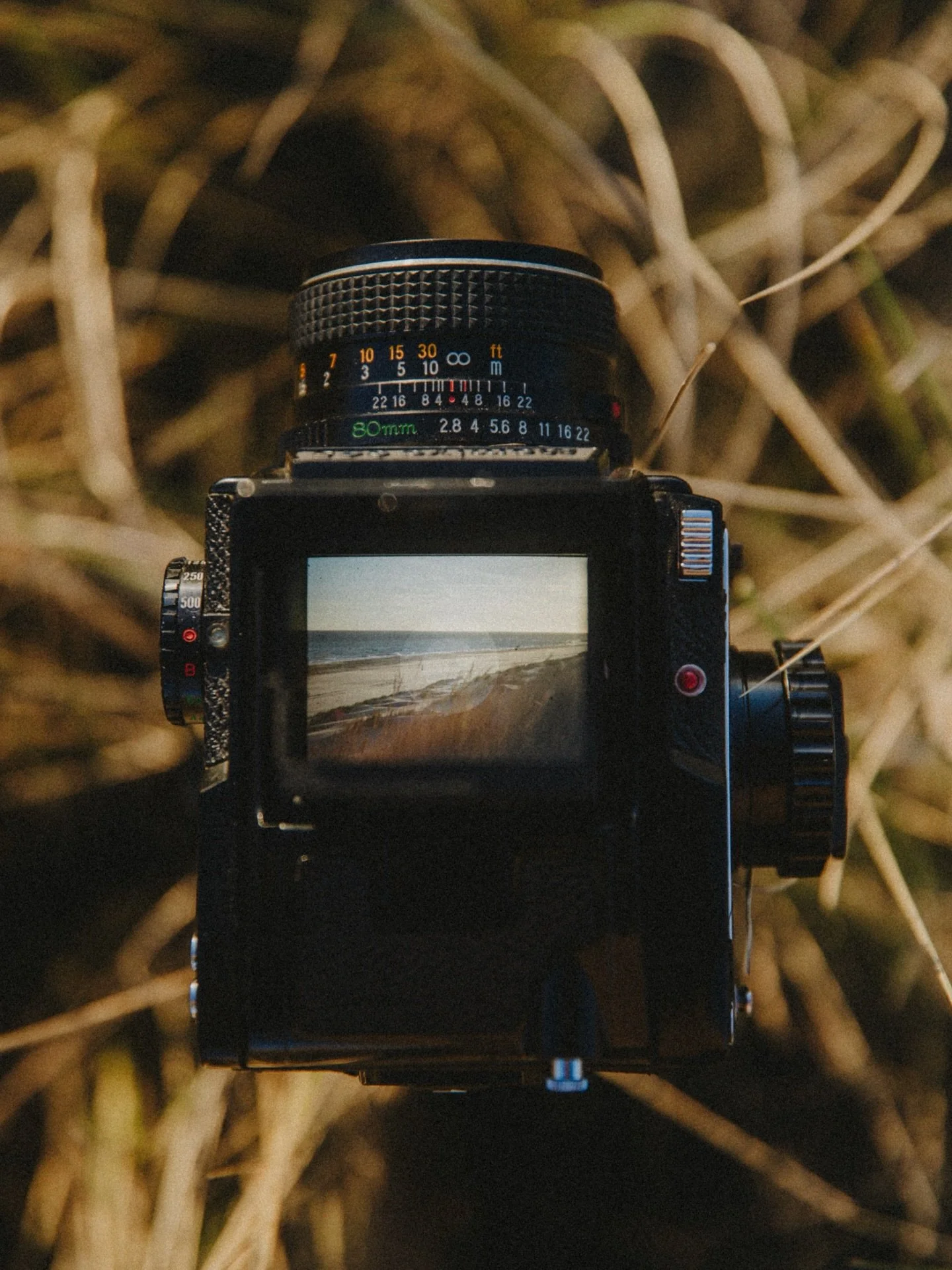 On my way to Vlieland! Loaded with Portra 800 in my Canon AE-1 and carrying way too much camera gear! Better safe than sorry. I&rsquo;m just really bad at making choices when it comes to camera gear, so I bring almost everything 😂

Can anyone relate