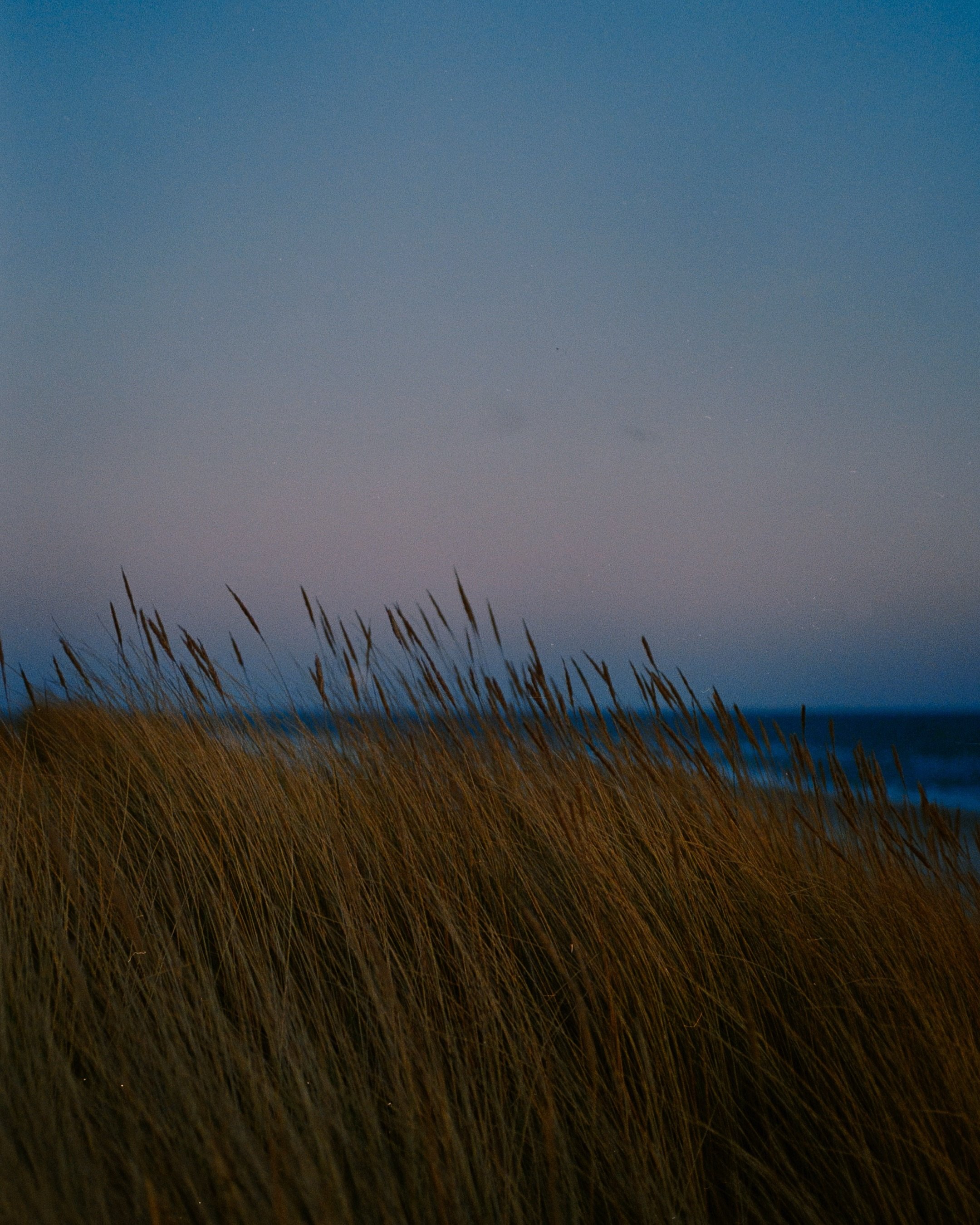 Blue hour by the sea

📸: Mamiya 645 | Portra 800