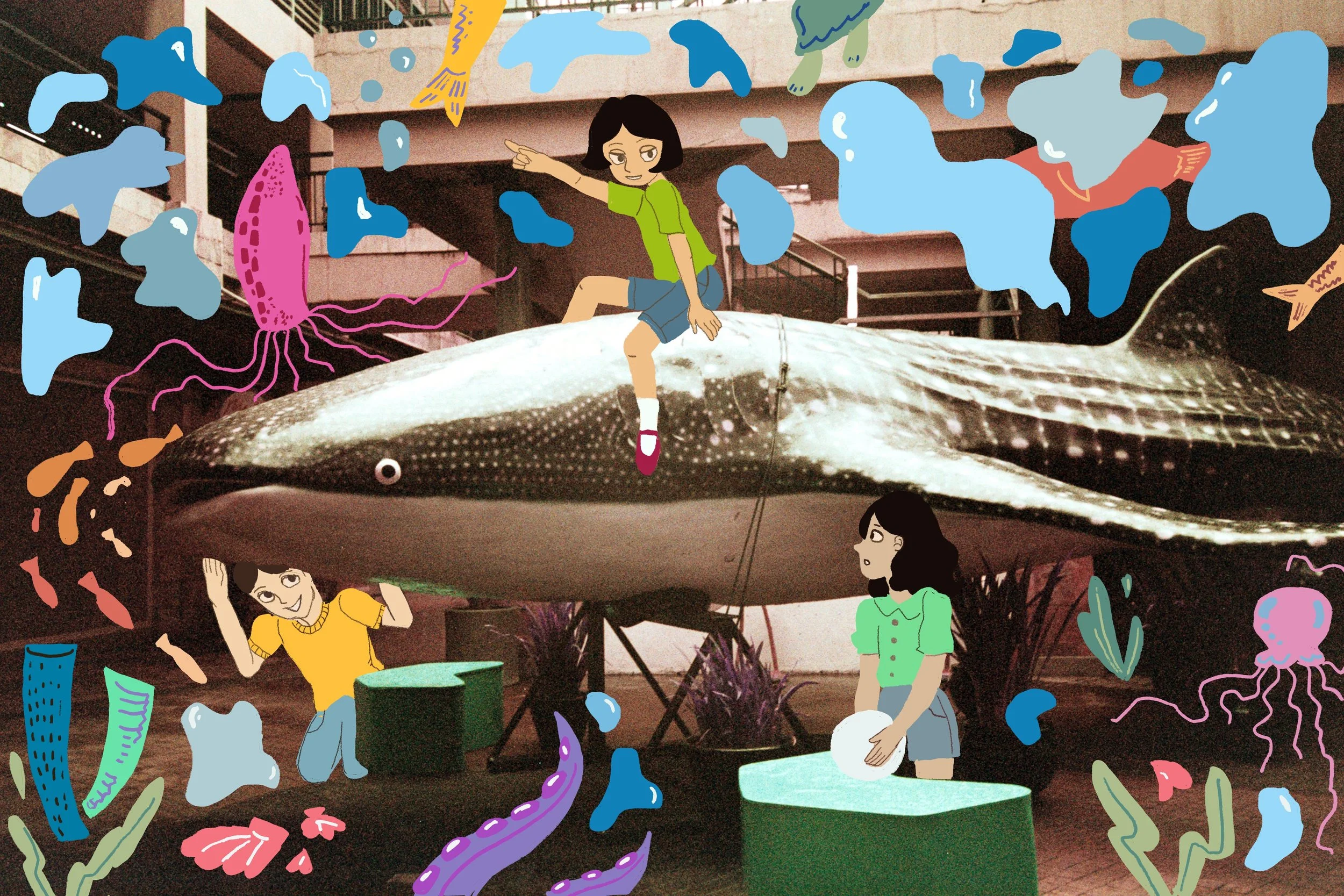 🍉: here is the room i used to live in where all my friends gather to swim
🍈: i've always dreamt of riding whale sharks but i'm scared of the ocean