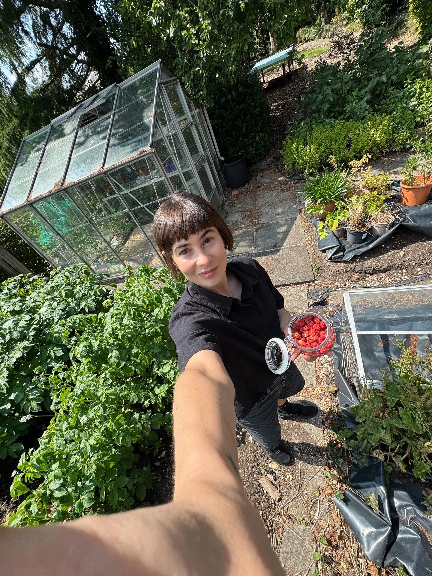 Summer in England: 
1. First raspberry harvest of the season! 2. Protein coffee (@formnutrition) + spiked with @alchemizeofficial + salt + my radio voice. 3. My foraged blackberry cobbler did not disappoint. 4. Working on my osteoporosis reversal + b