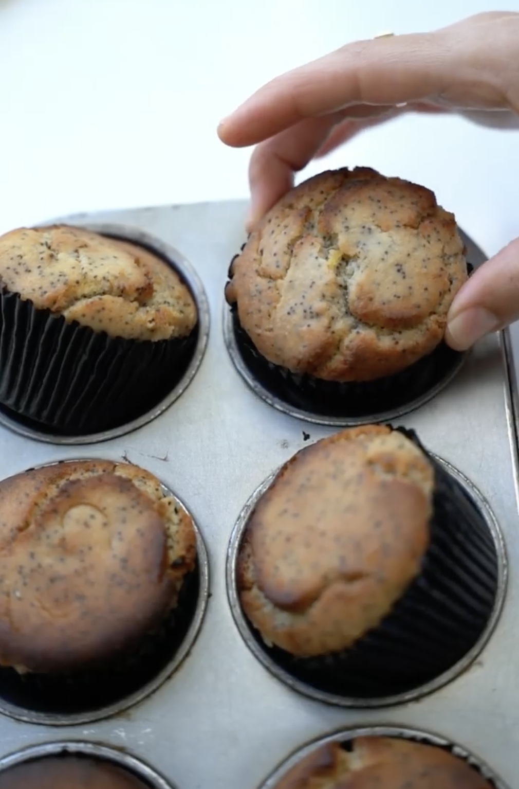 LEMON &amp; POPPYSEED MUFFINS