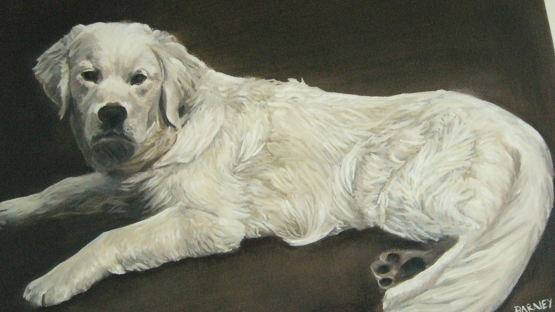 golden retriever1.JPG