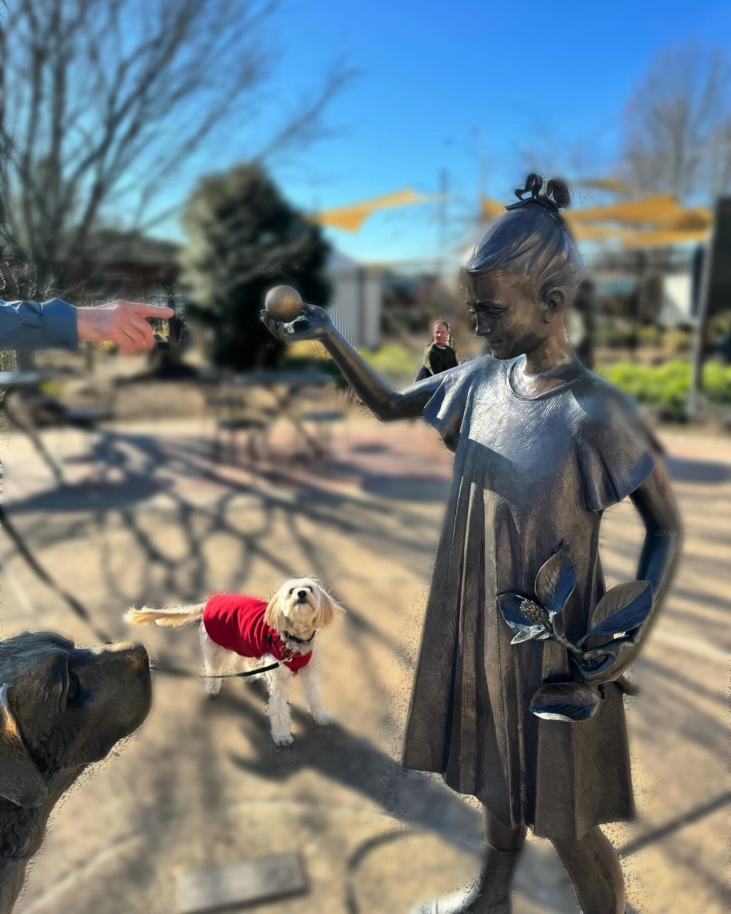 All eyes are on the ball. 
&bull;
#throwtheball #dogstatue #dogsofinstagram #dog #dogs #doodle #doodlesofinstagram