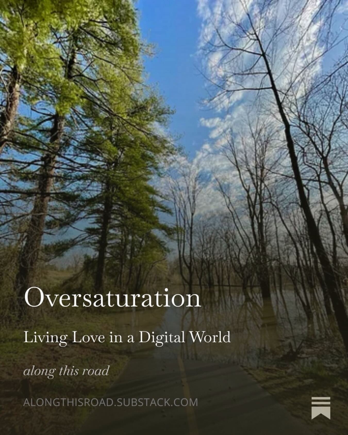 Today&rsquo;s post is a reflection on writing (and reading) in our oversaturated digital world.
Click the Substack link in my bio or here to read:
https://bit.ly/oversaturationalongthisroad
#alongthisroad #oversaturation #substack #writing #socialmed